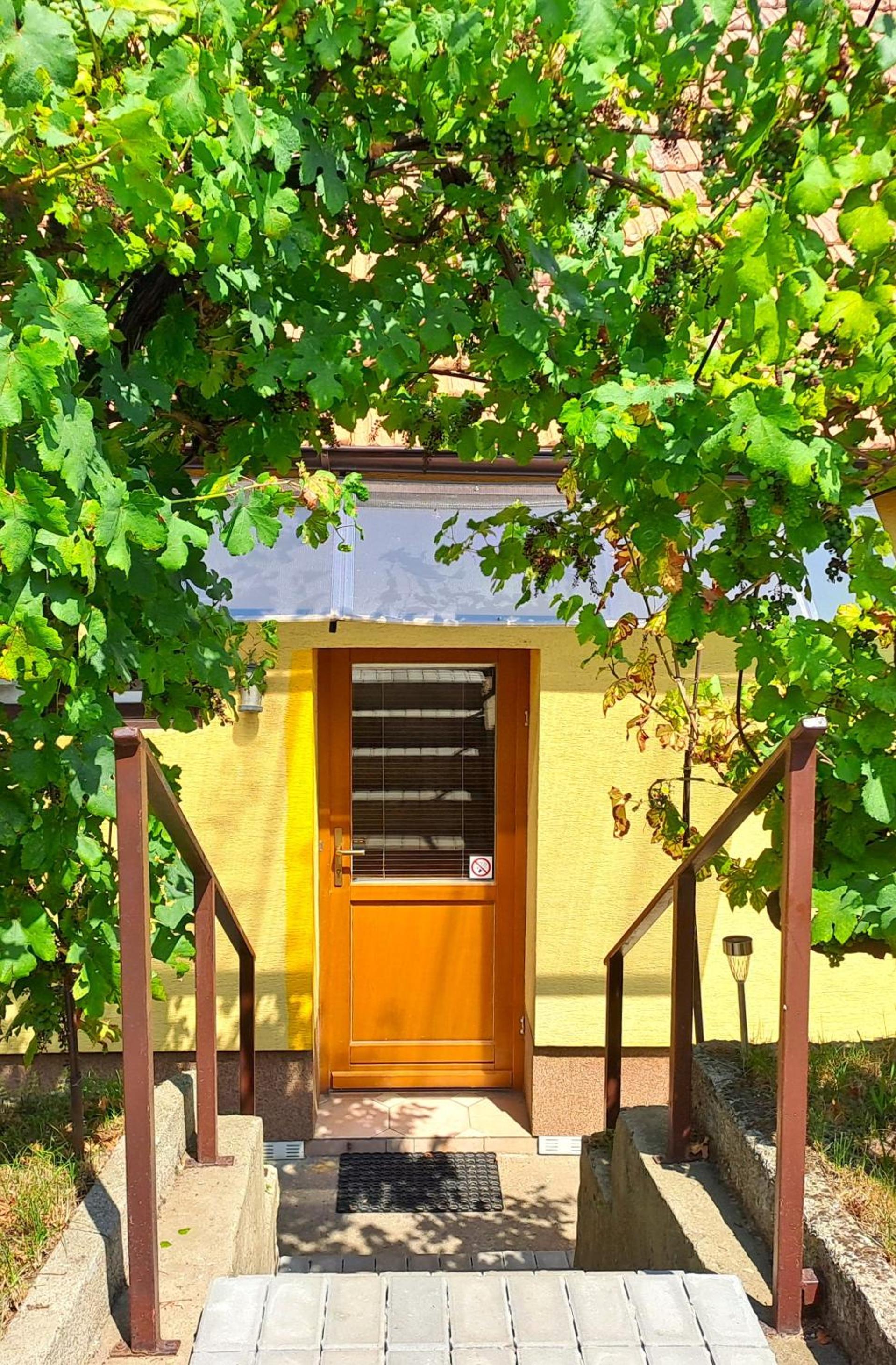 Domek na vinohradech