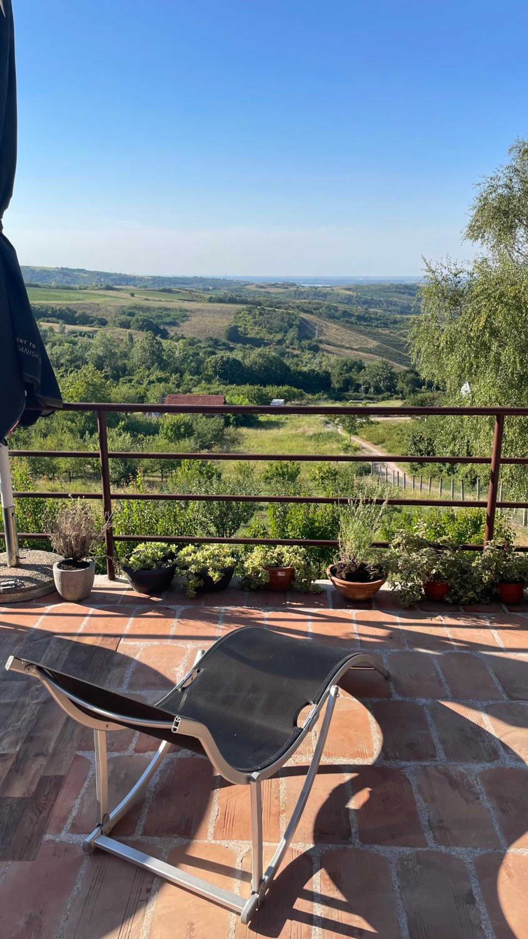 Villa Popovic - apartments Fruska gora