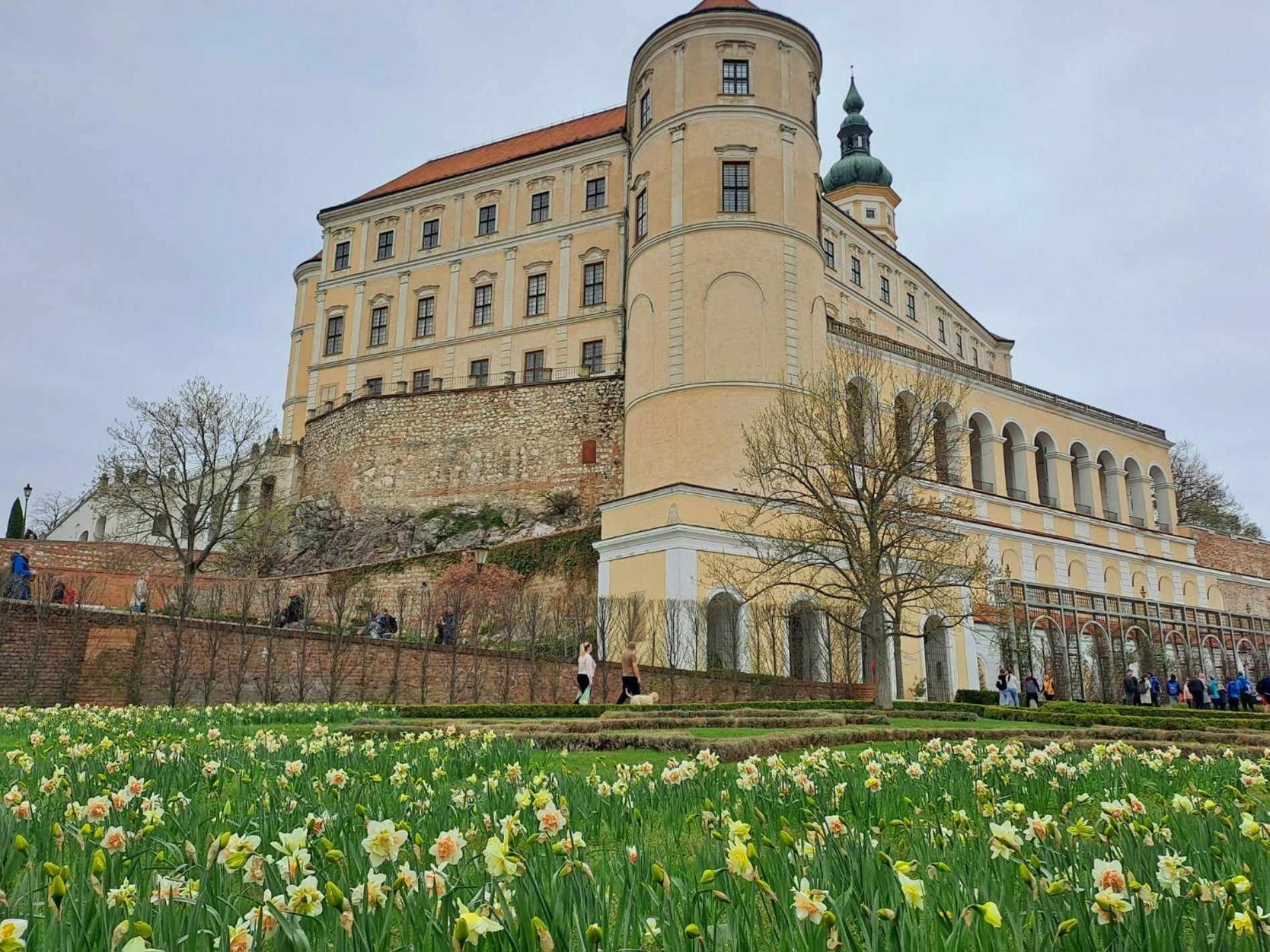 Domek na vinohradech