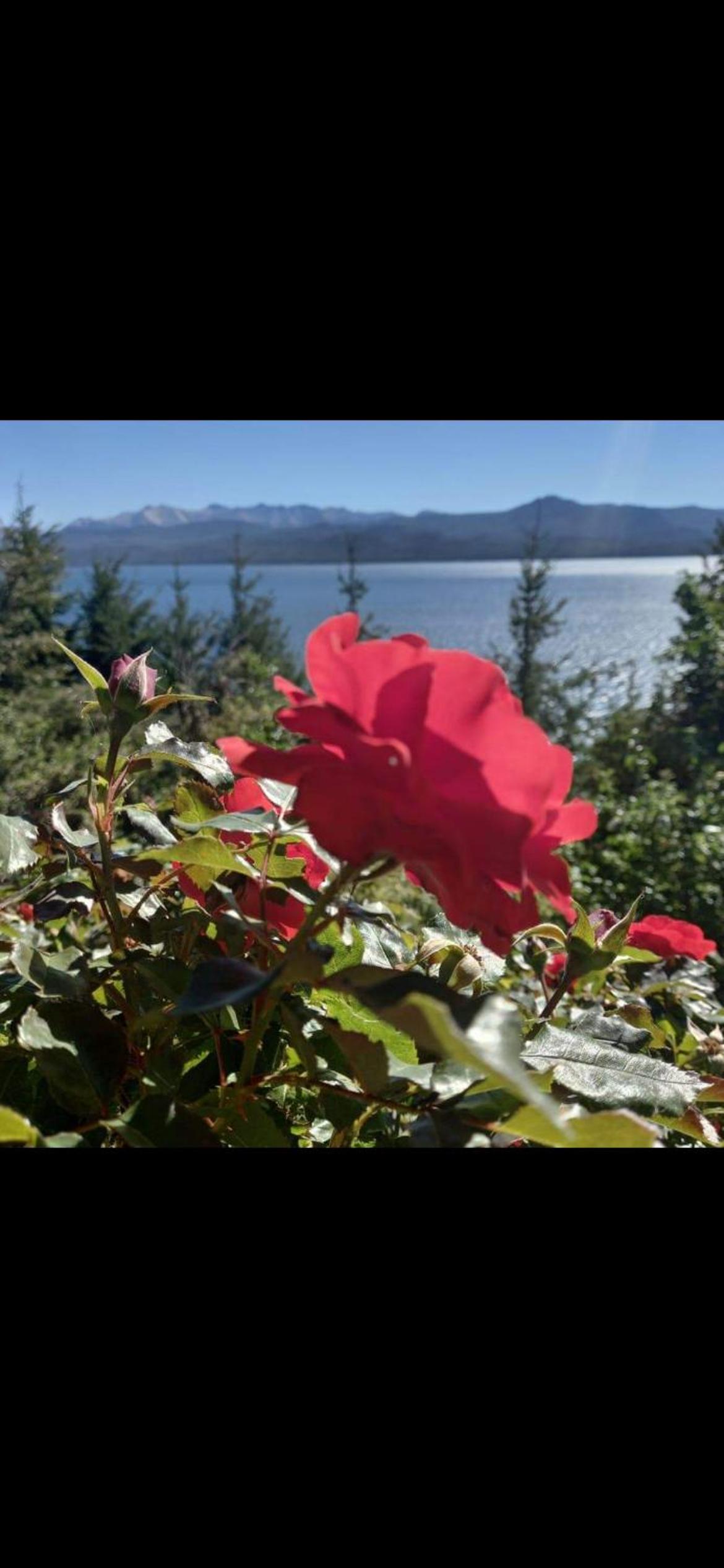 Lago Azul Bariloche