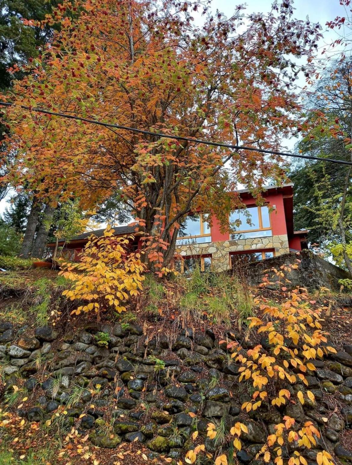 Lago Azul Bariloche
