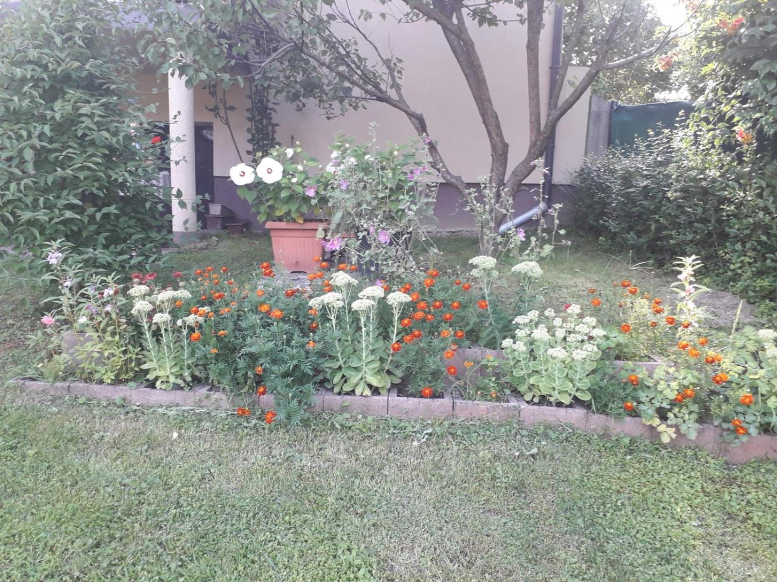 Photo 33
