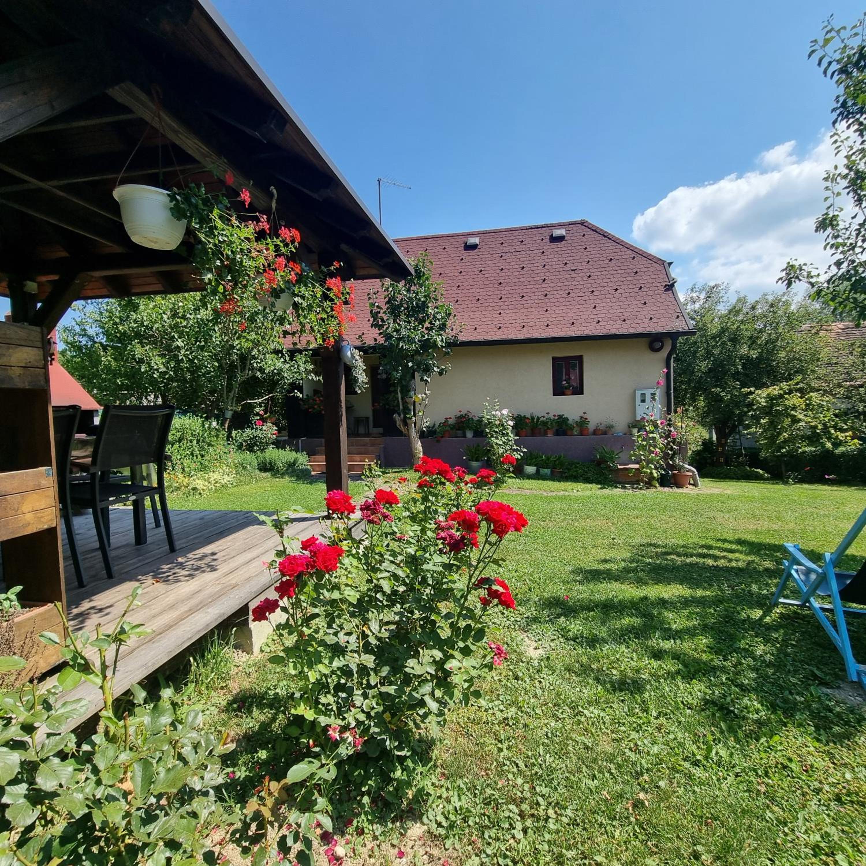 Photo 25