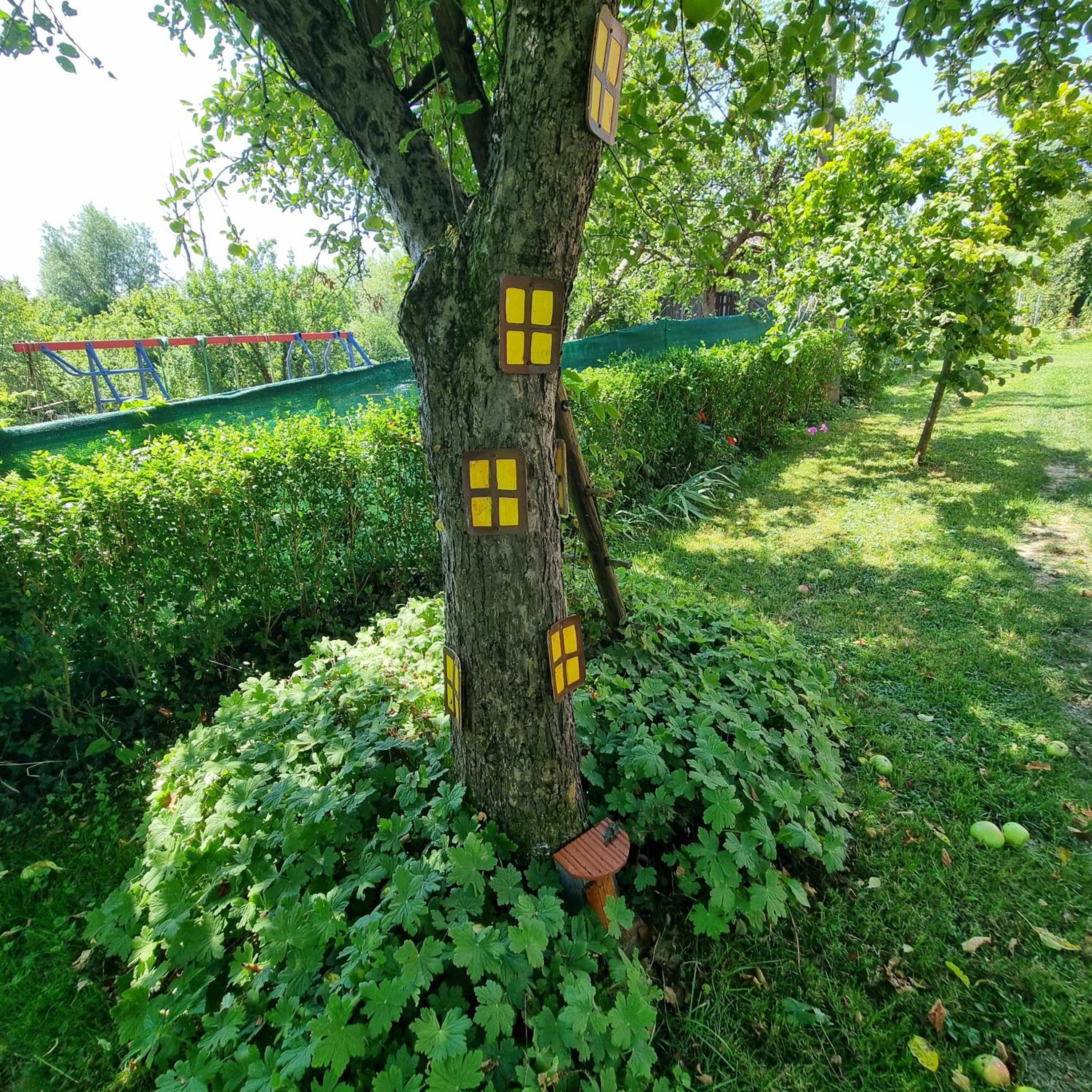 Photo 34