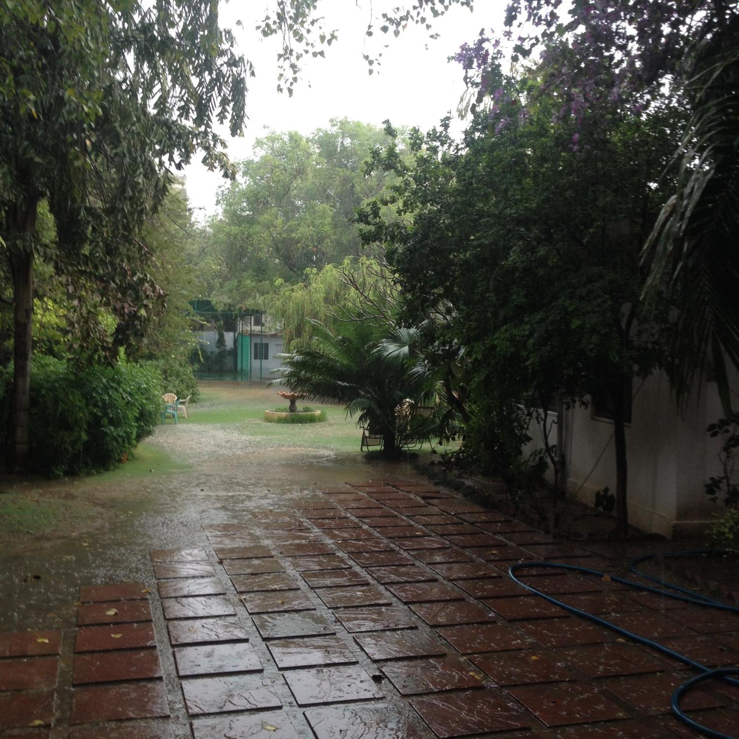 Photo 48