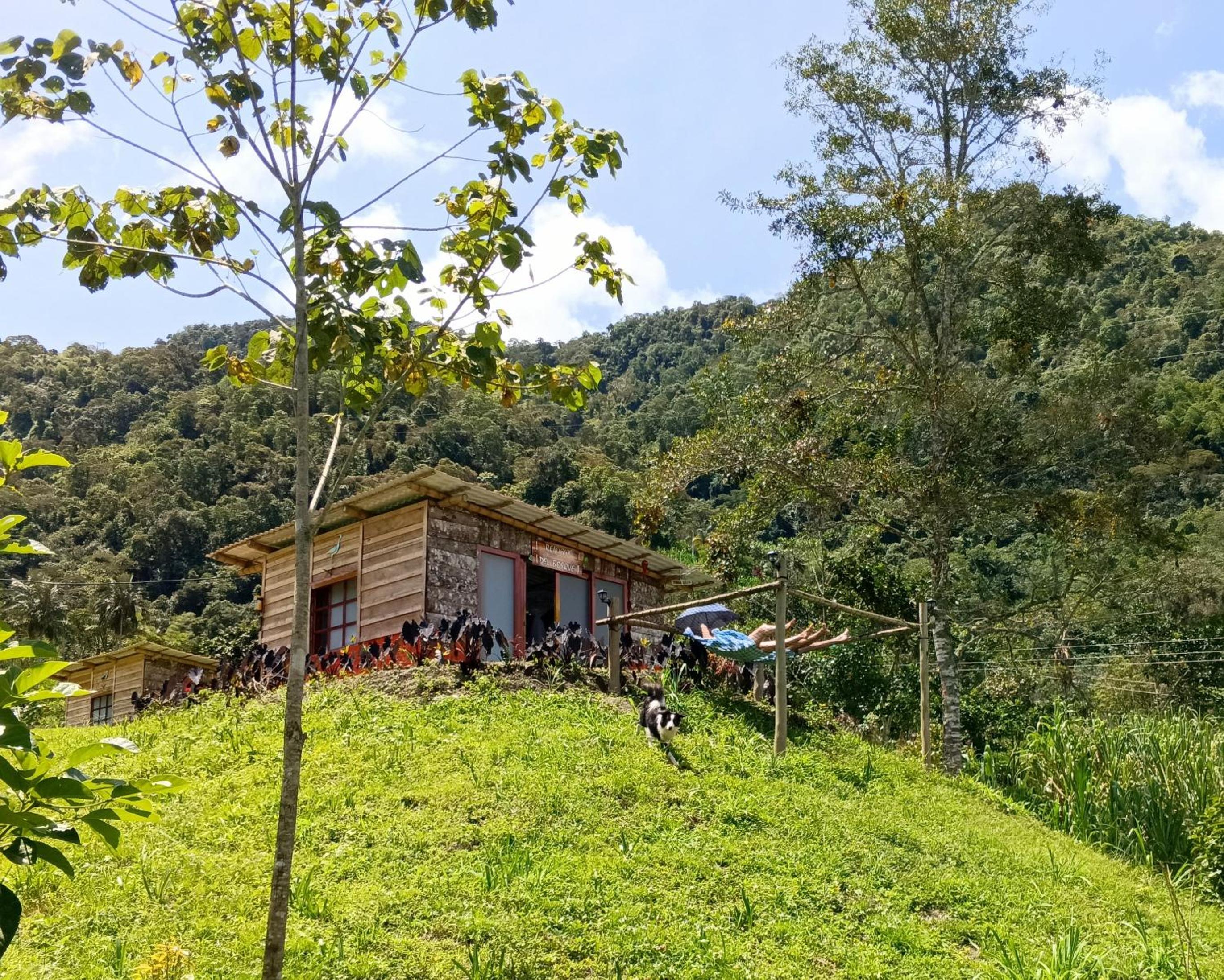 Glamping eco descanso la vega Nocaima