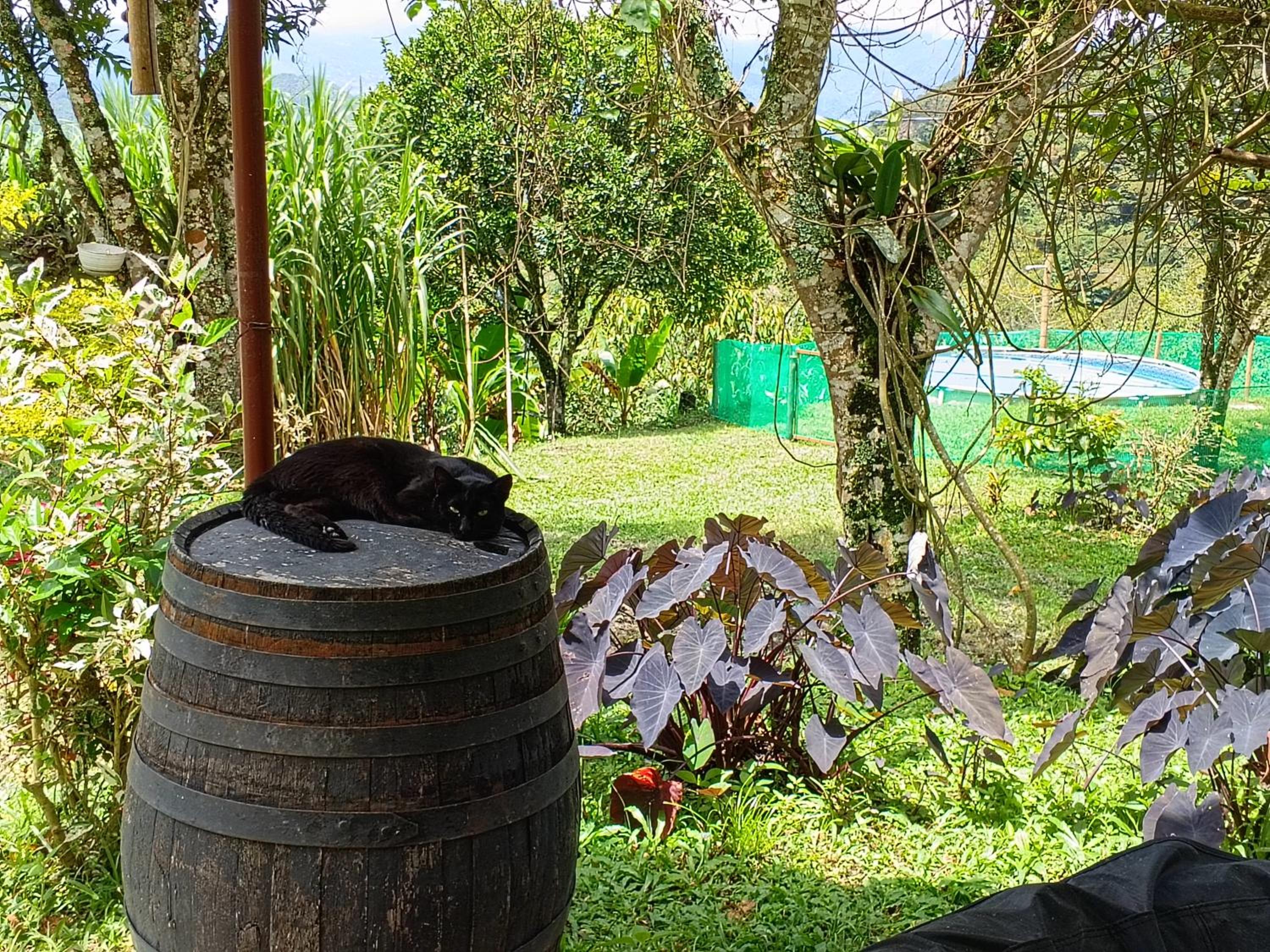 Glamping eco descanso la vega Nocaima