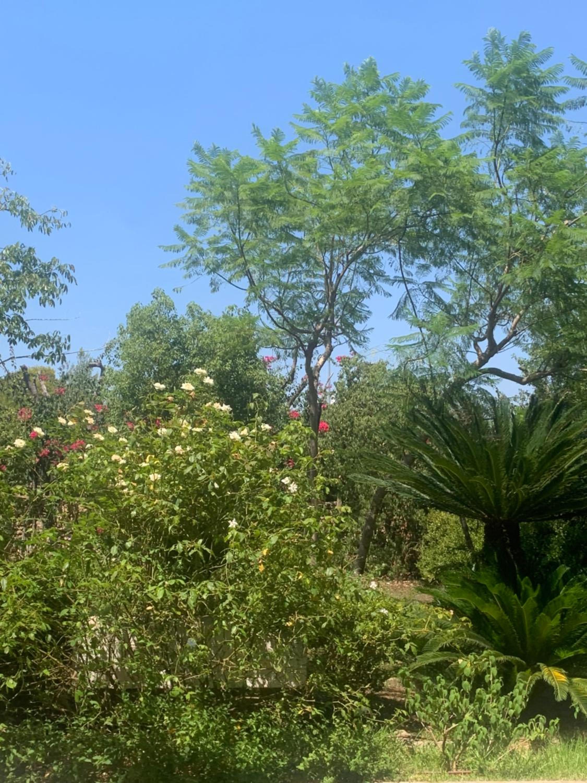 Dimora Madreperla