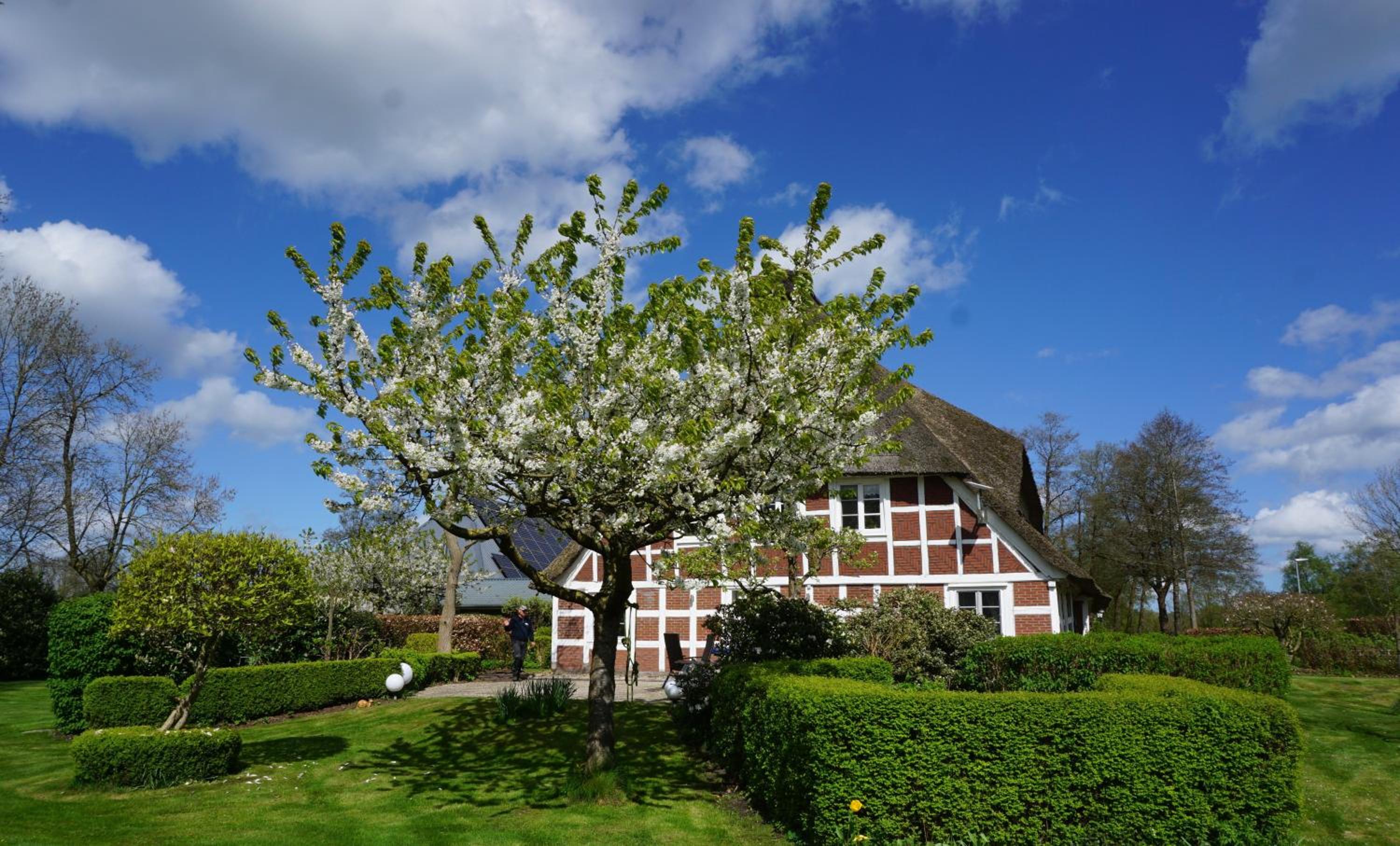 Altes Landhaus Oste, Appartement- Hotel mit Kamin