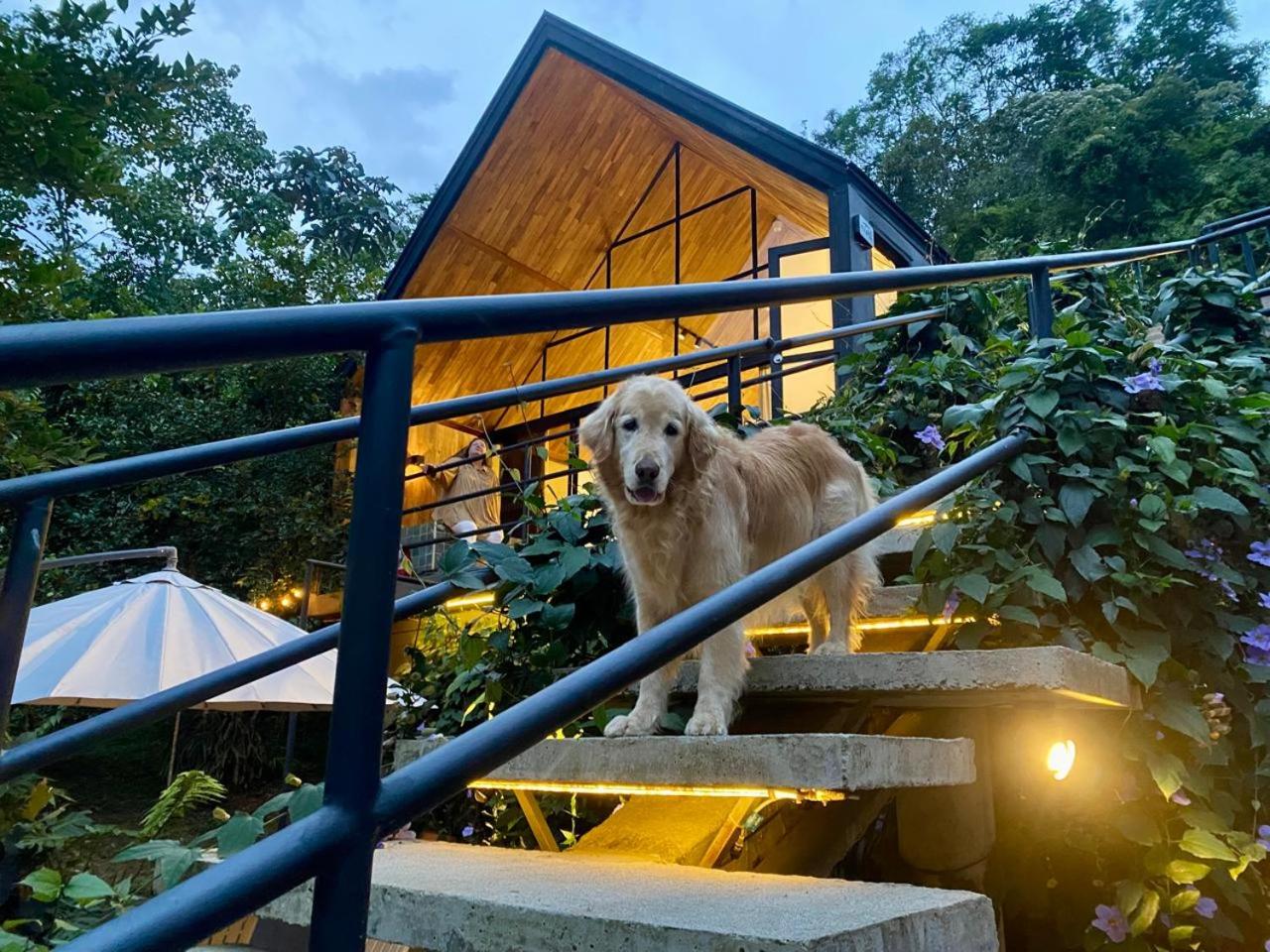 Espectacular Cabaña en San Rafael Antioquia 10 de 10