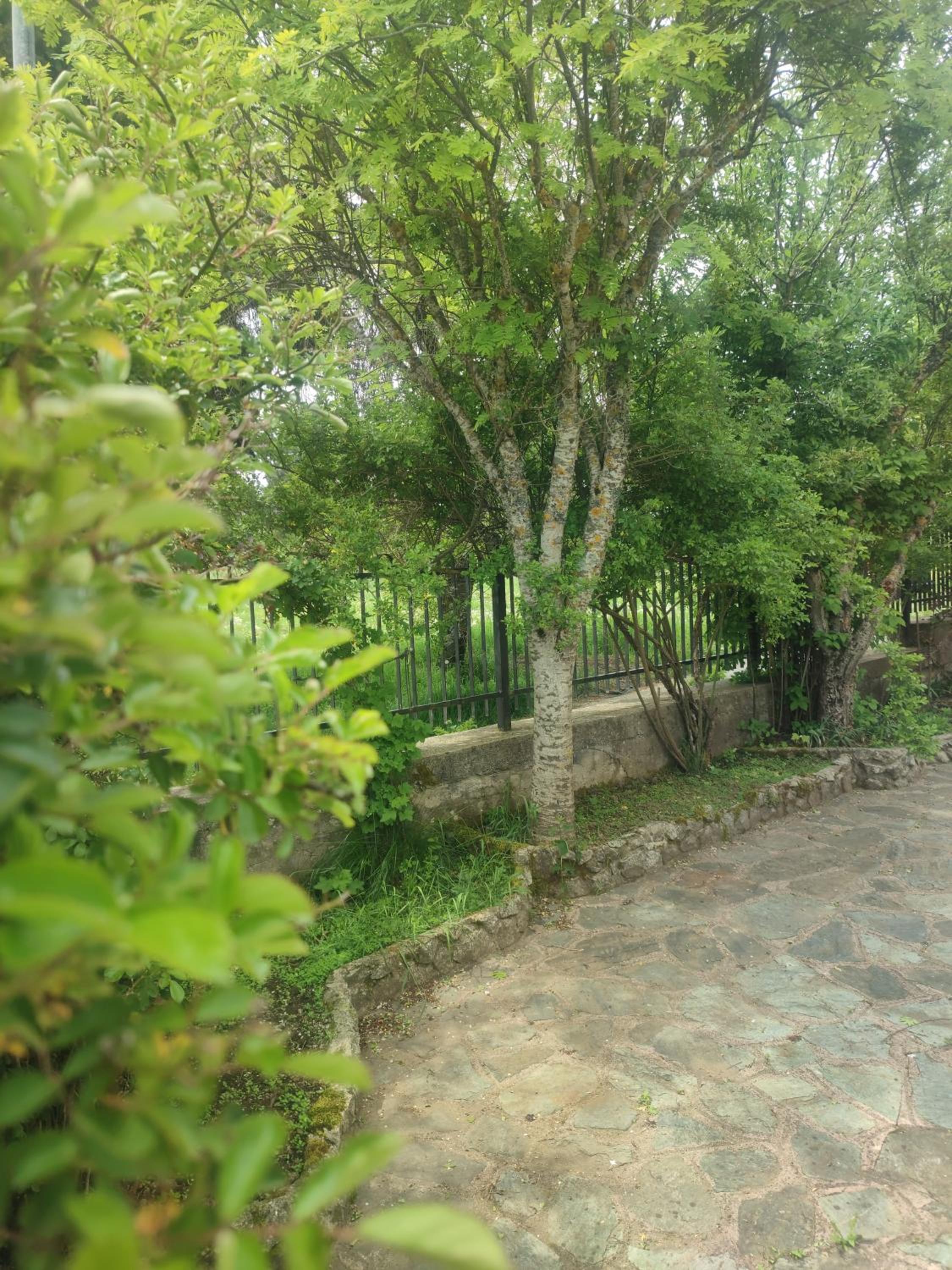 Villa Ninetta en Marchicelli