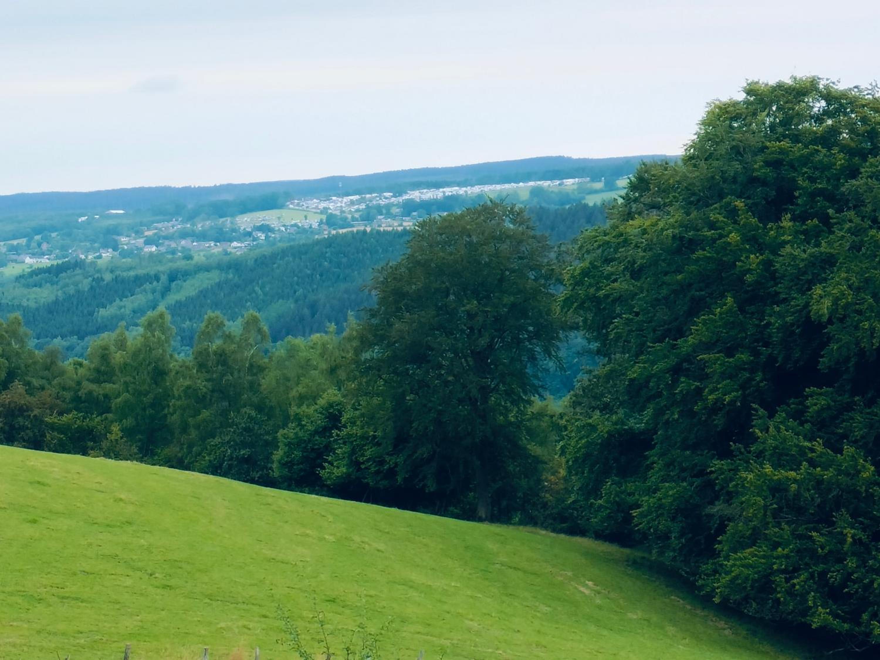 Ma campagne vue sur Malmedy