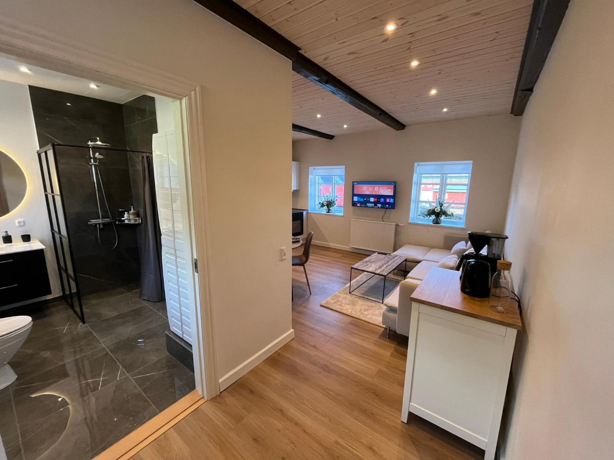 Luxurious apartment in Manor House