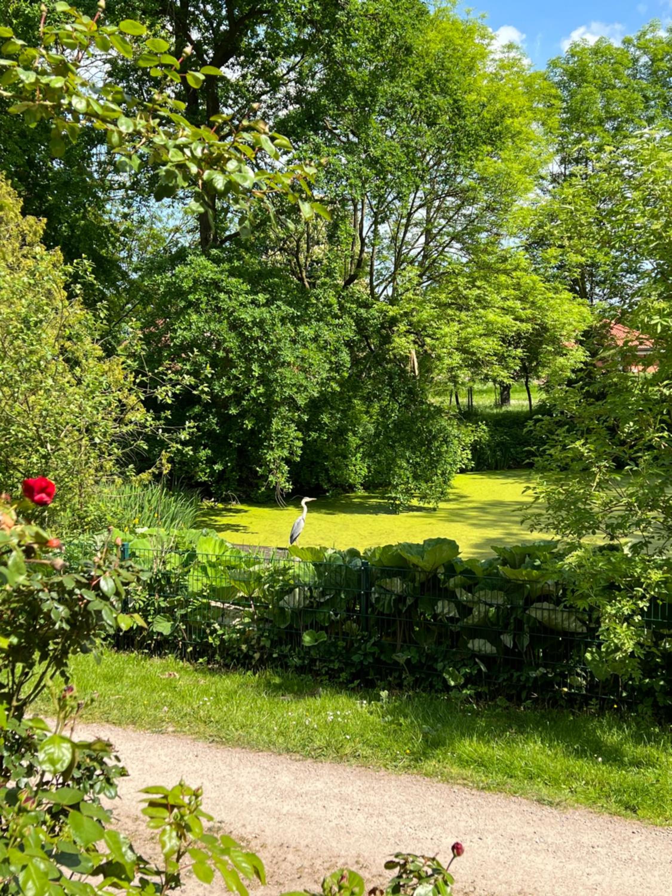 Wohnung im Schloss