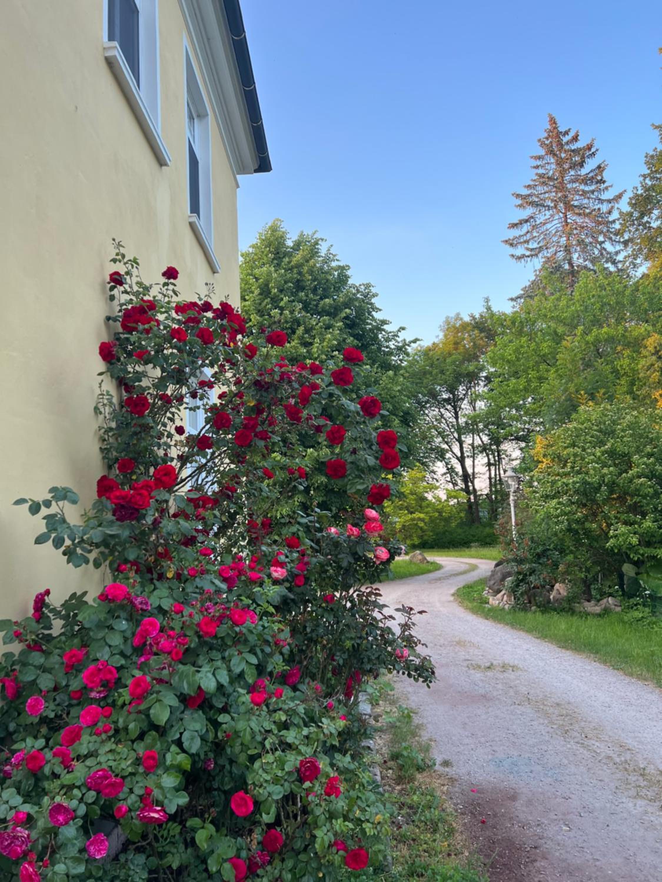 Wohnung im Schloss