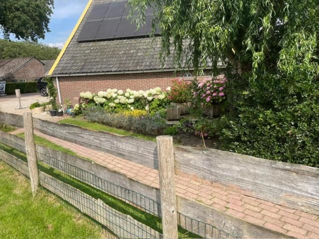 Photo 28