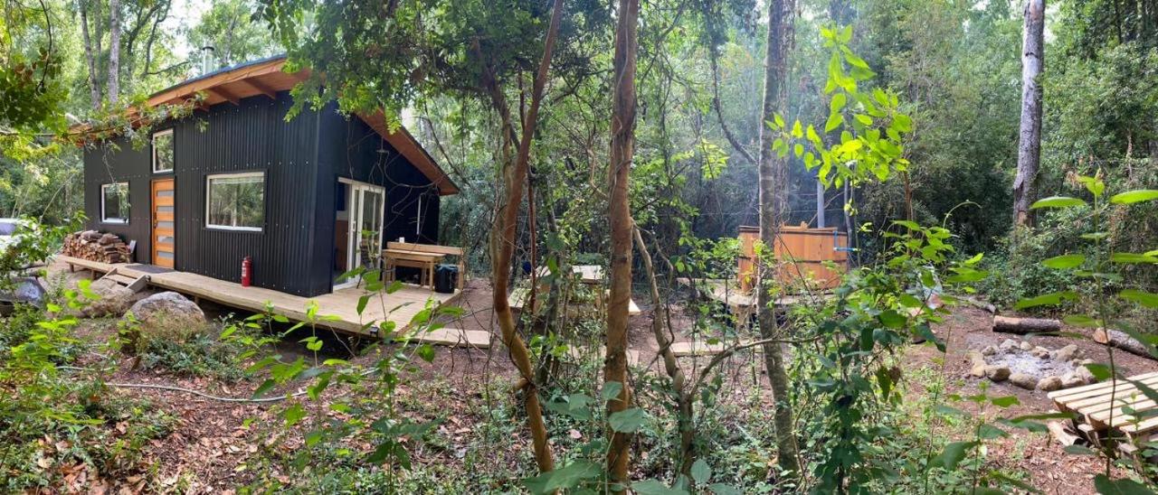 Cabaña en medio de bosque nativo Molco Bosques de Molco