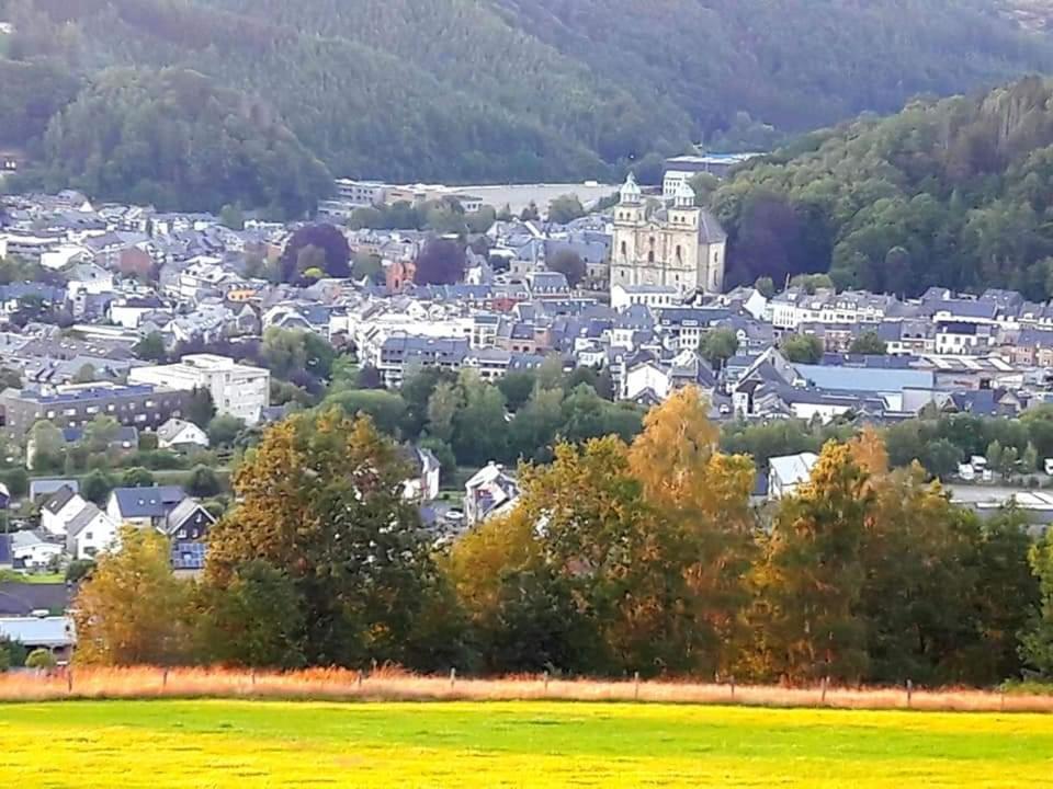 Ma campagne vue sur Malmedy
