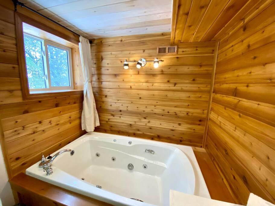 Stunning All-Seasons Muskoka Lakefront Cottage