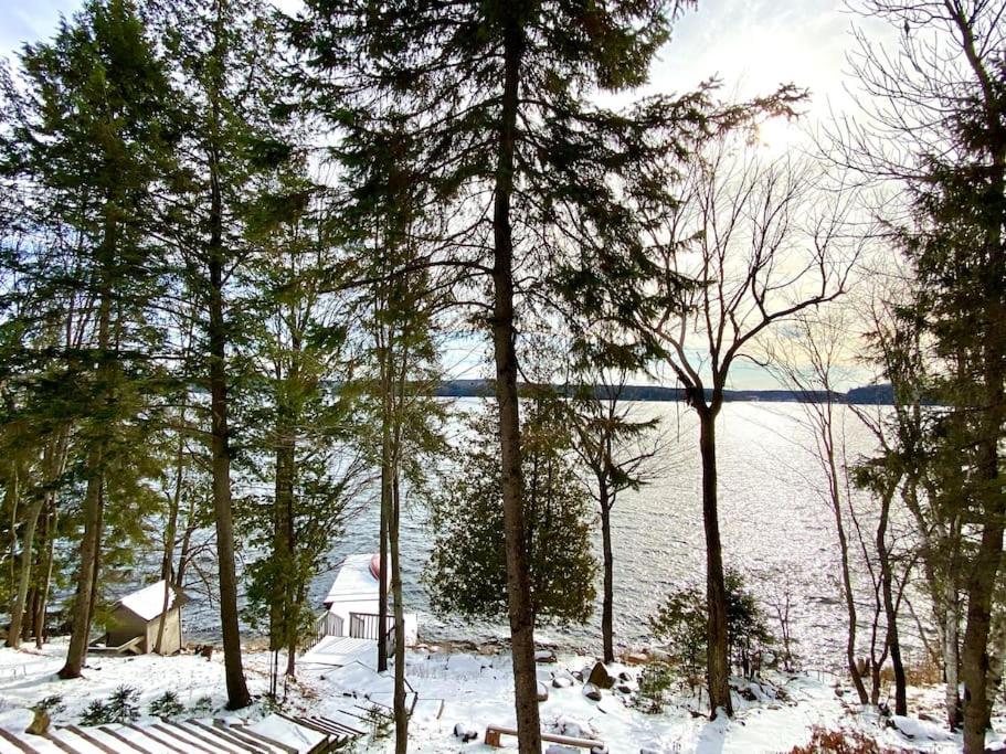 Stunning All-Seasons Muskoka Lakefront Cottage
