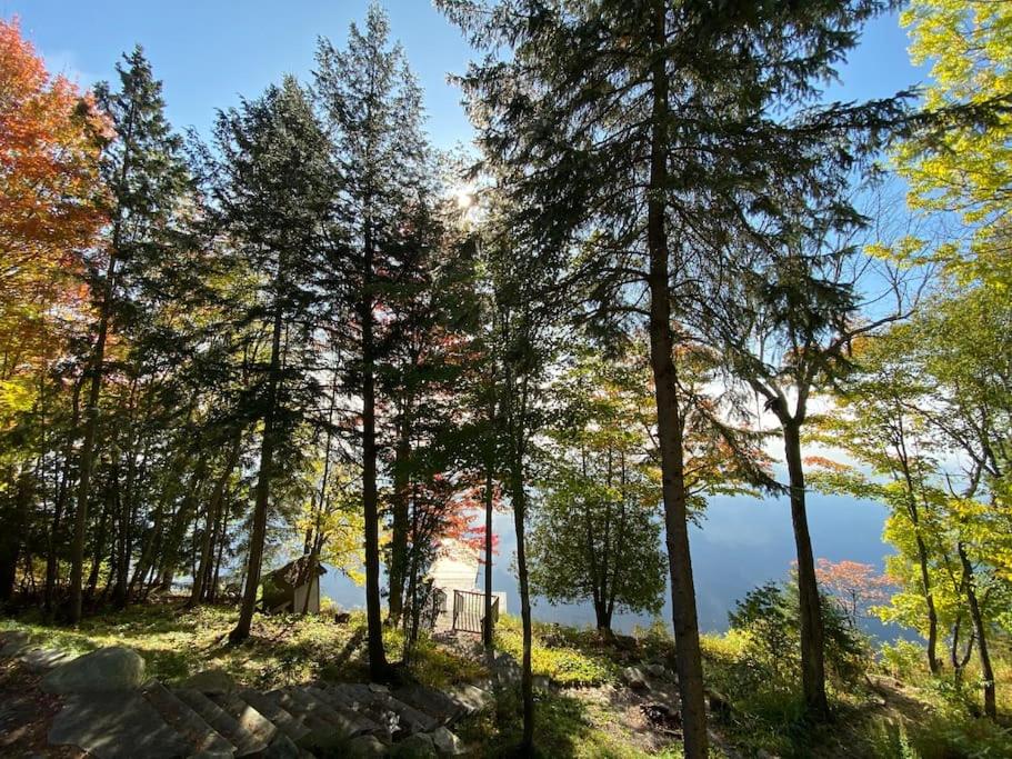 Stunning All-Seasons Muskoka Lakefront Cottage