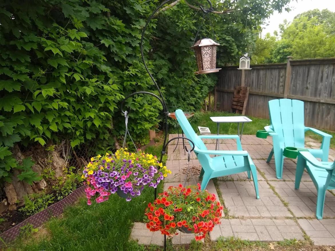 Cozy basement apartment in the heart of Oakville