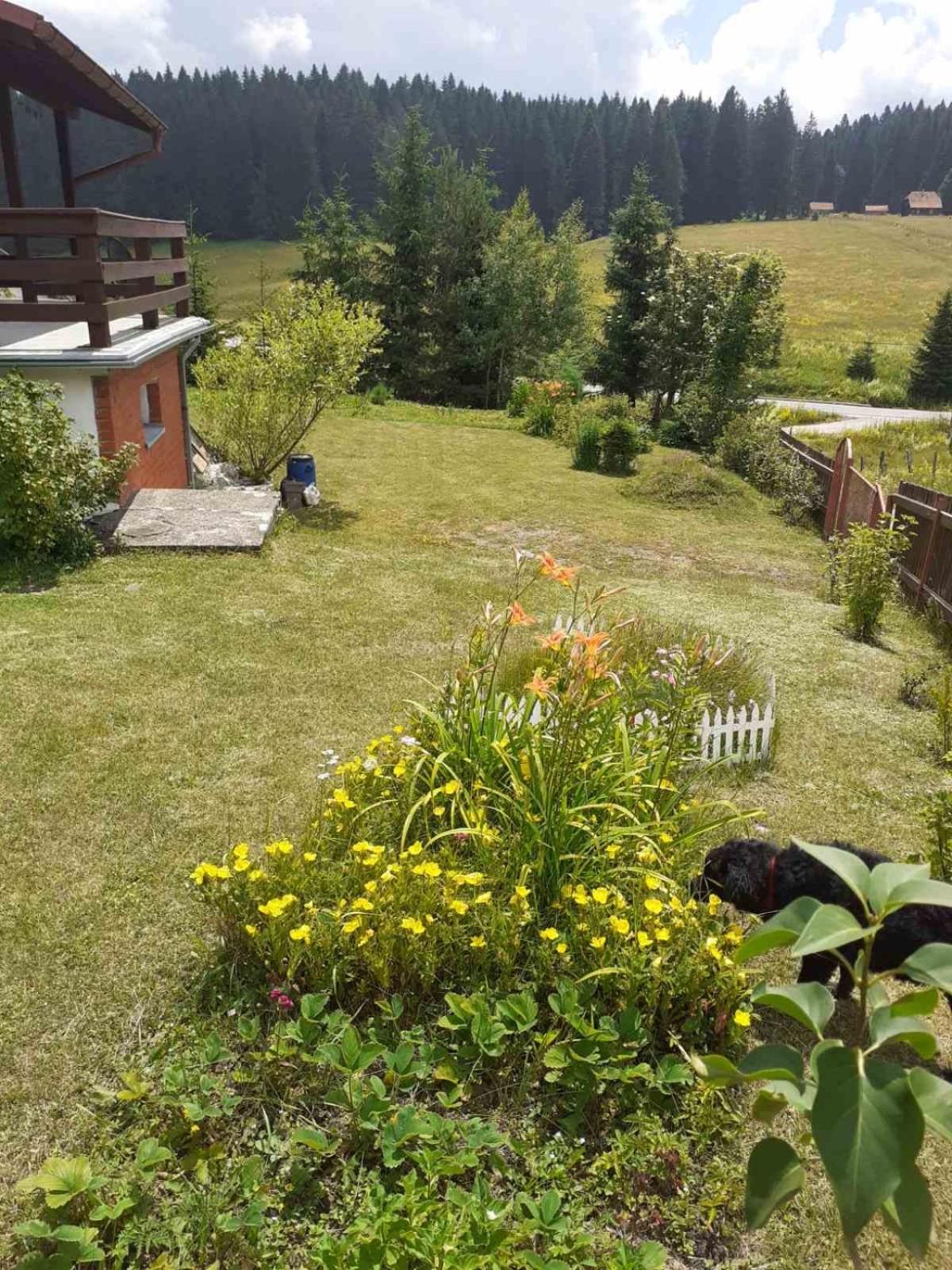 Mountain resort house - Planinska vikendica
