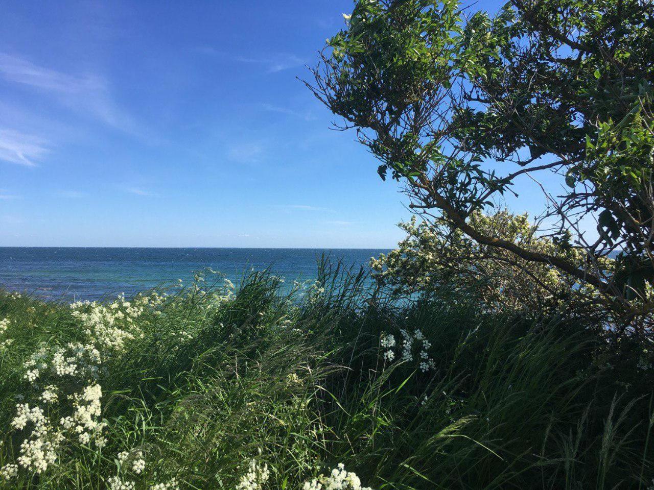Traumhaftes Strand-Apartment mit Meerblick