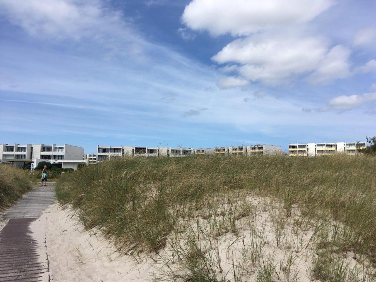 Meerblick pur – Wohnung Strandhafer am Südstrand