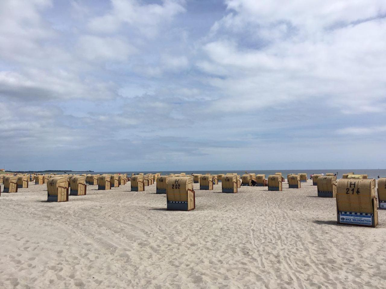 Meerblick pur – Wohnung Strandhafer am Südstrand