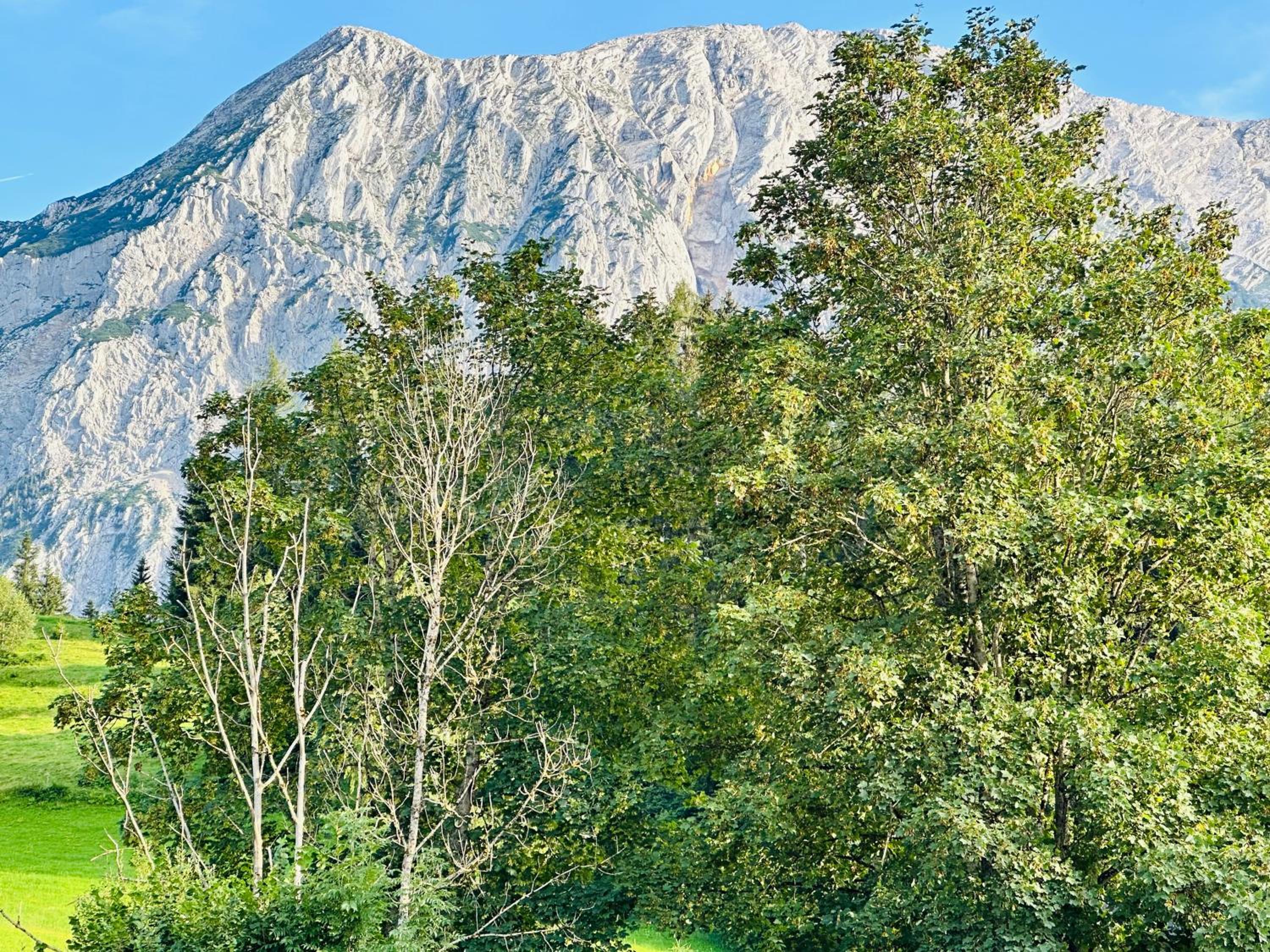 Das Alpenzeit Loft mit Balkon und Grimmingblick