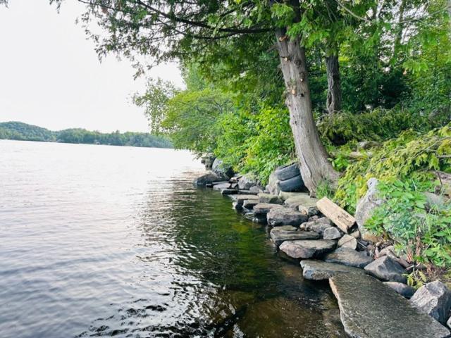 Stunning All-Seasons Muskoka Lakefront Cottage