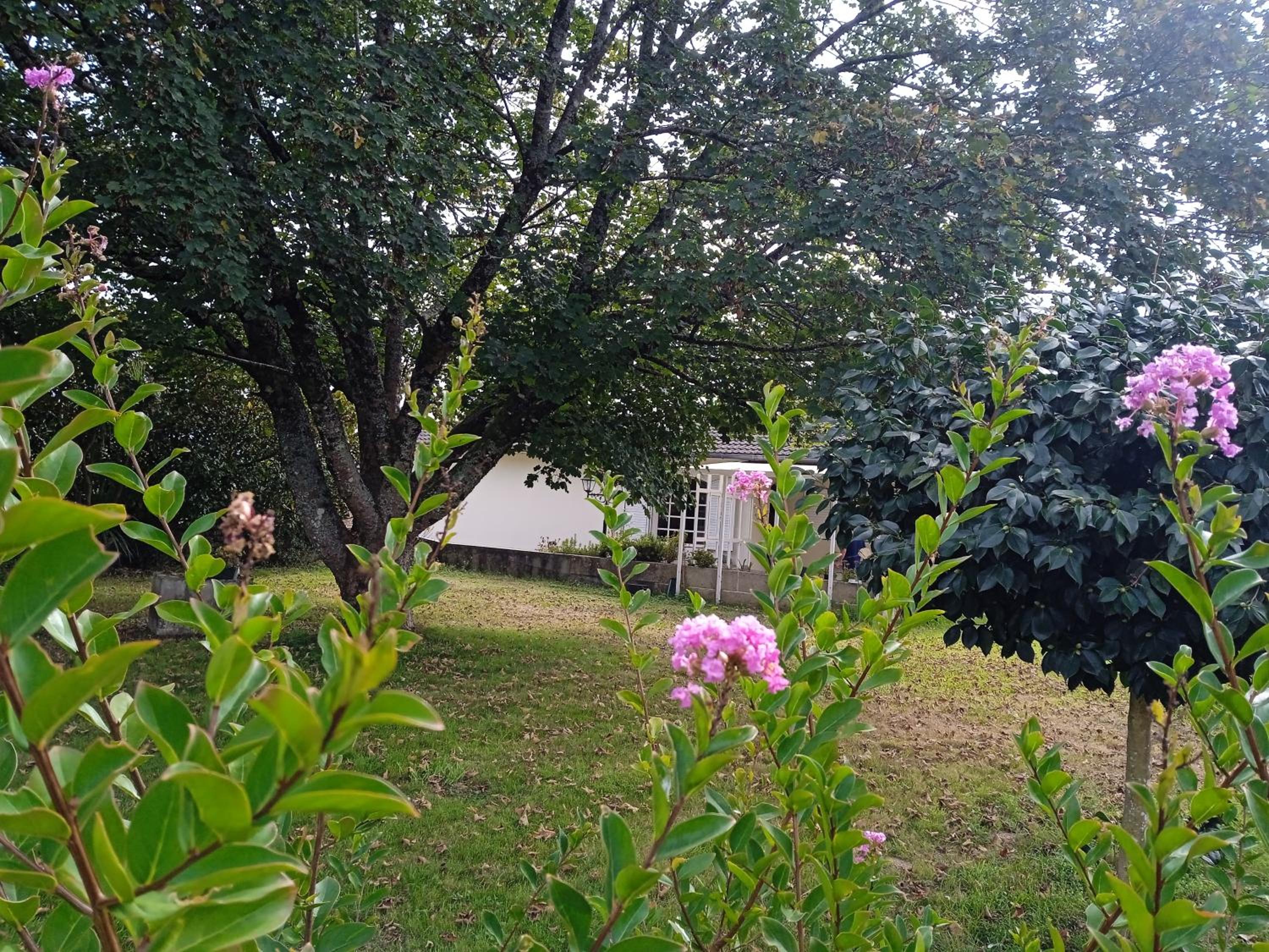 A casa de Abelleira enteira