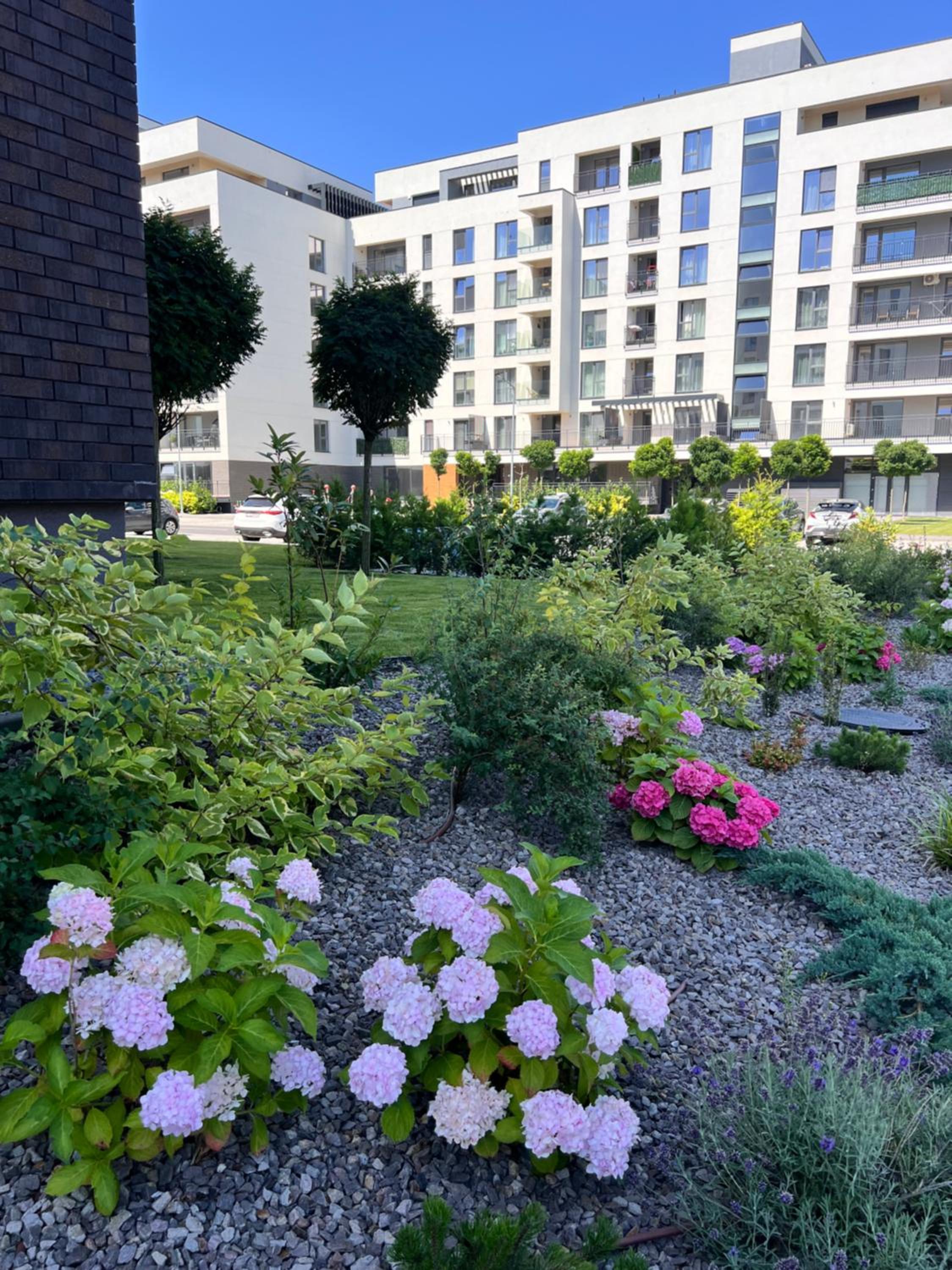 Adela Apartament