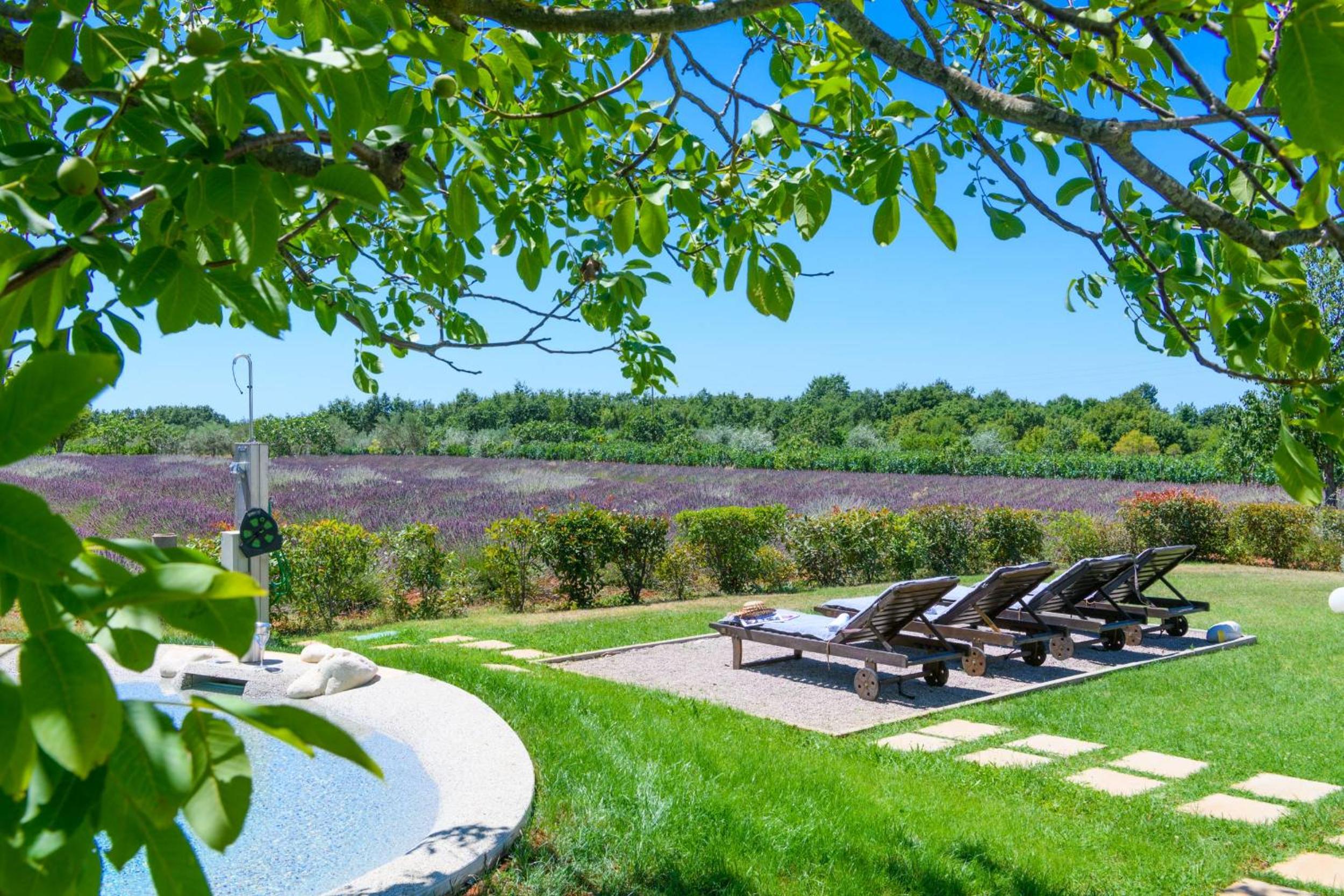Holiday house Brajdine Lounge