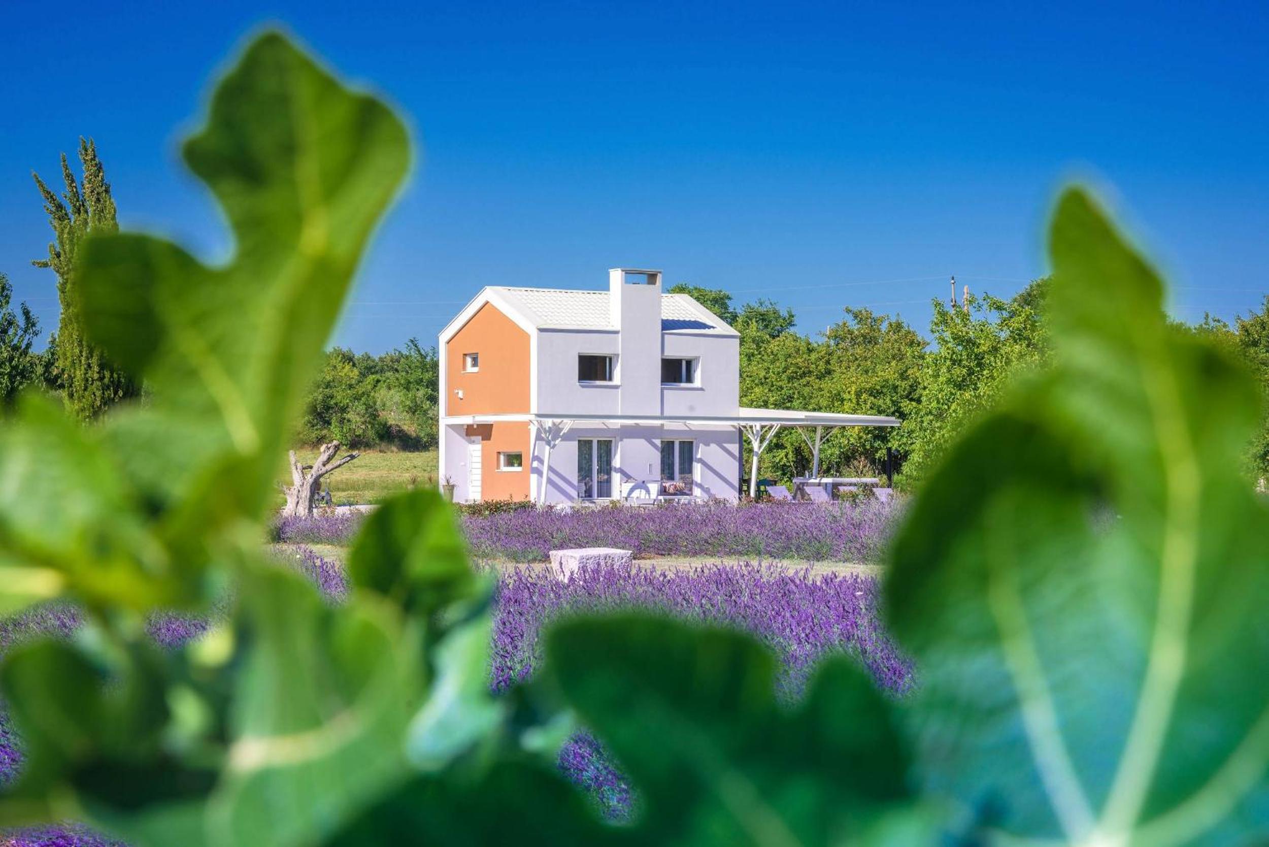 Holiday house Brajdine Lounge