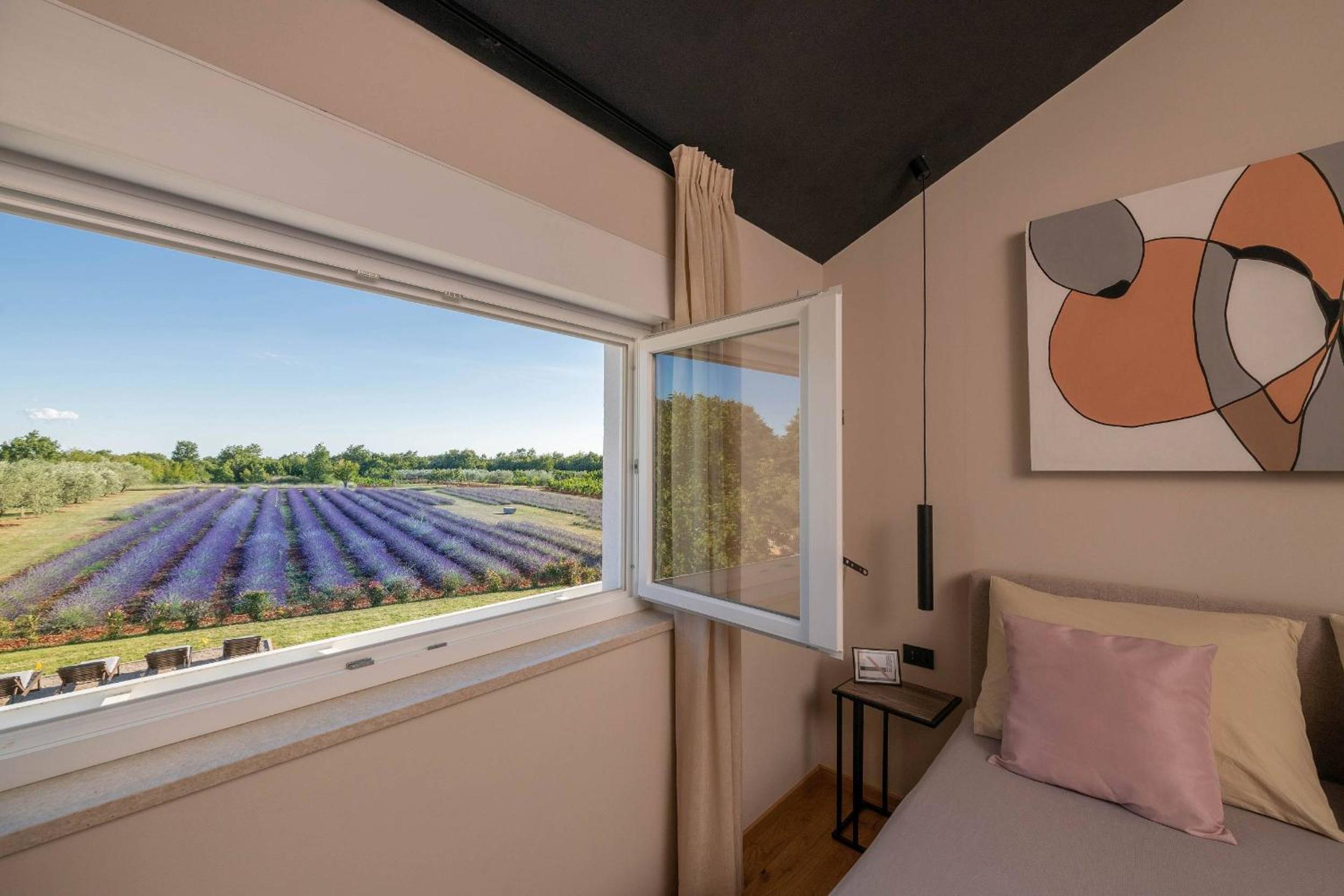 Holiday house Brajdine Lounge