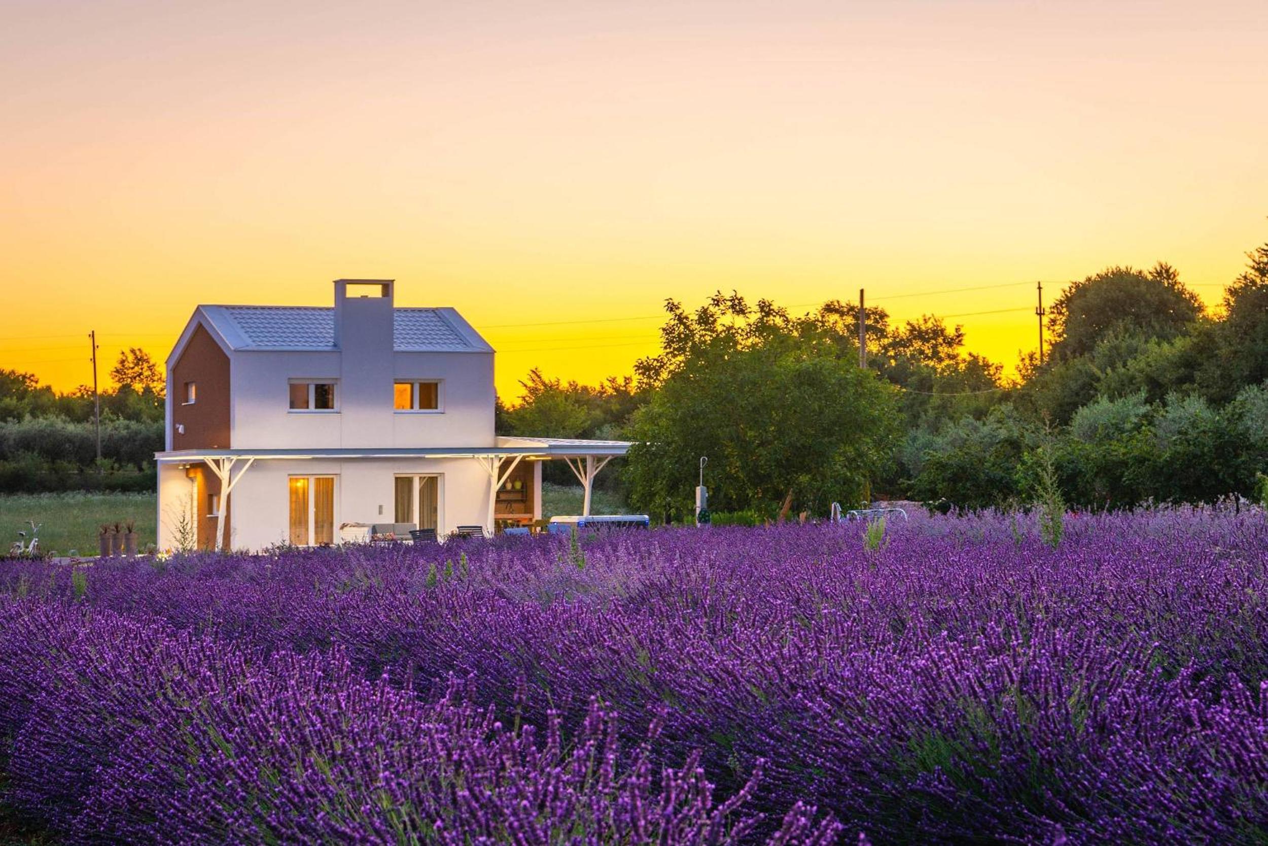 Holiday house Brajdine Lounge