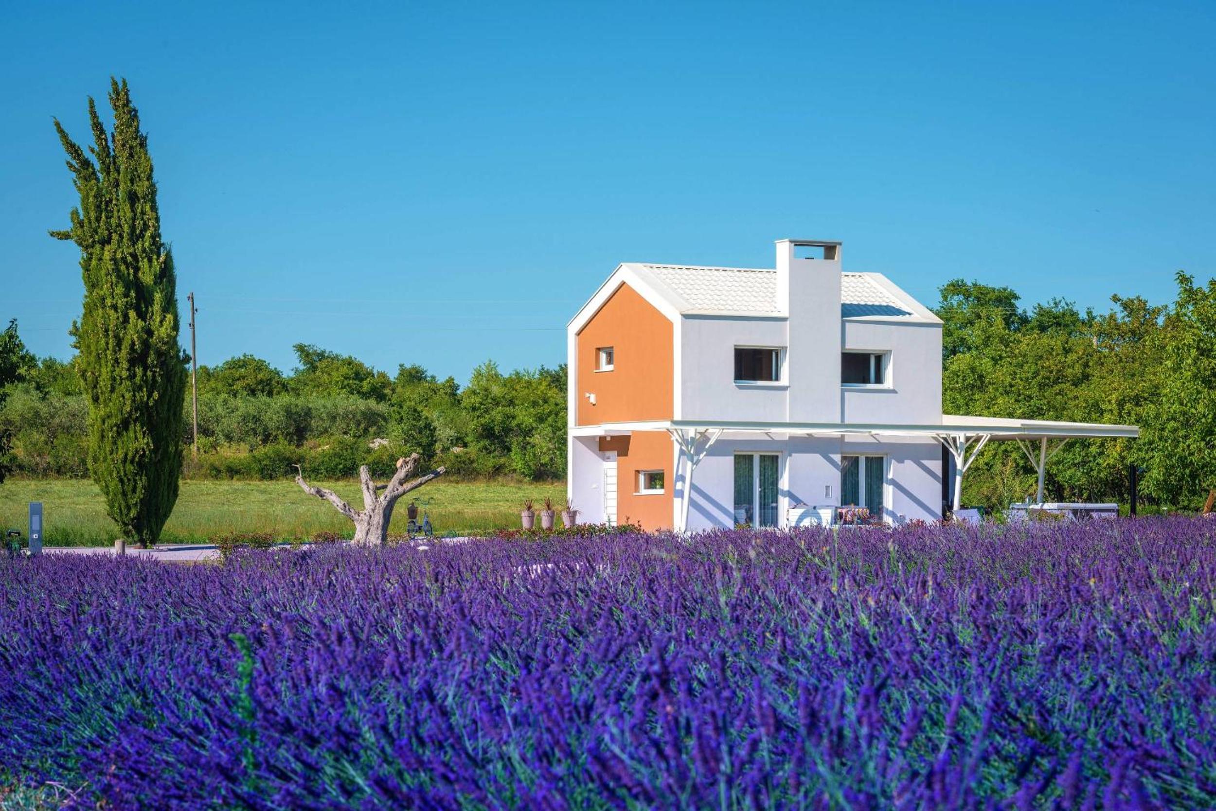 Holiday house Brajdine Lounge