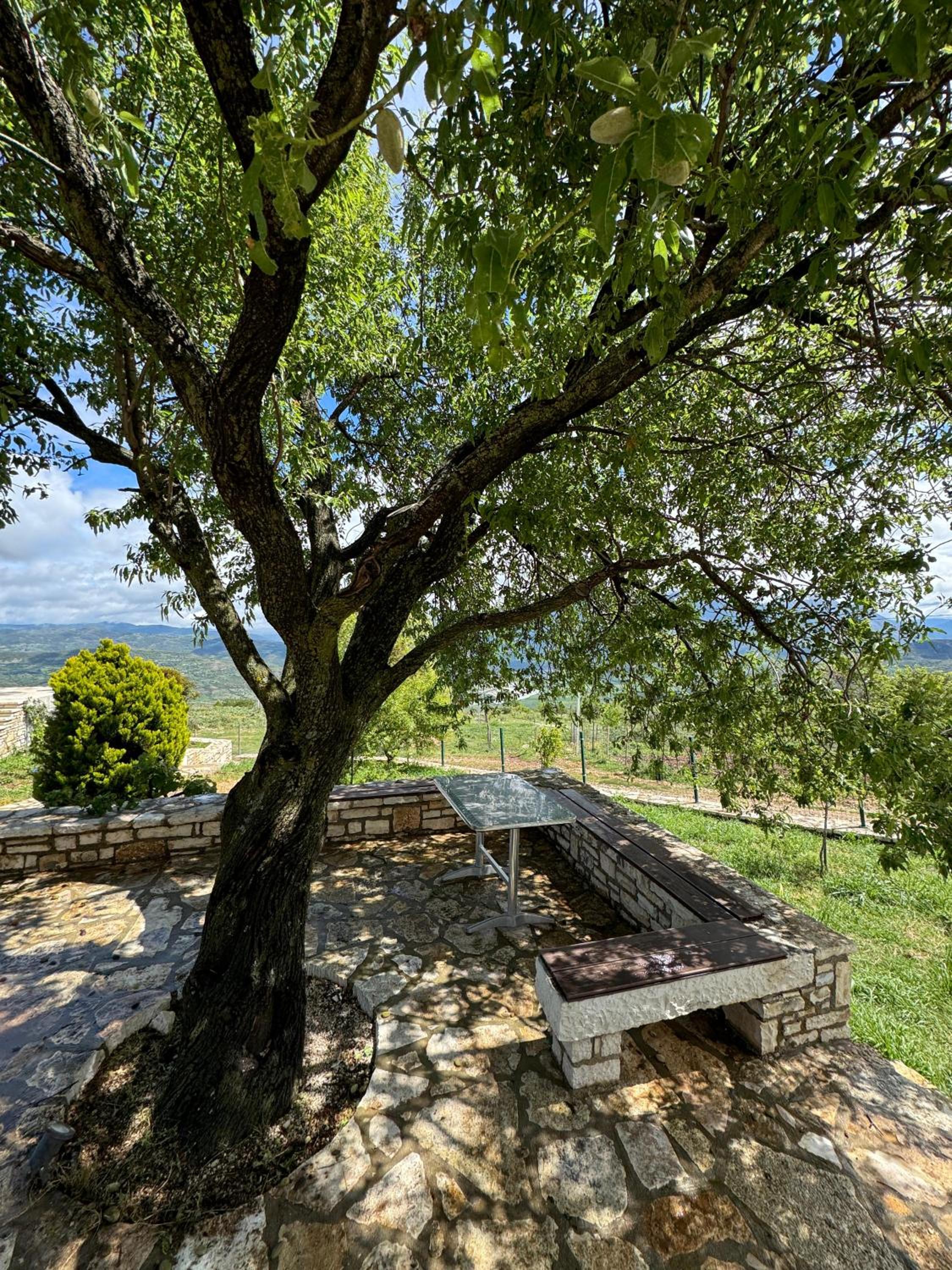 Vjosa Balcony