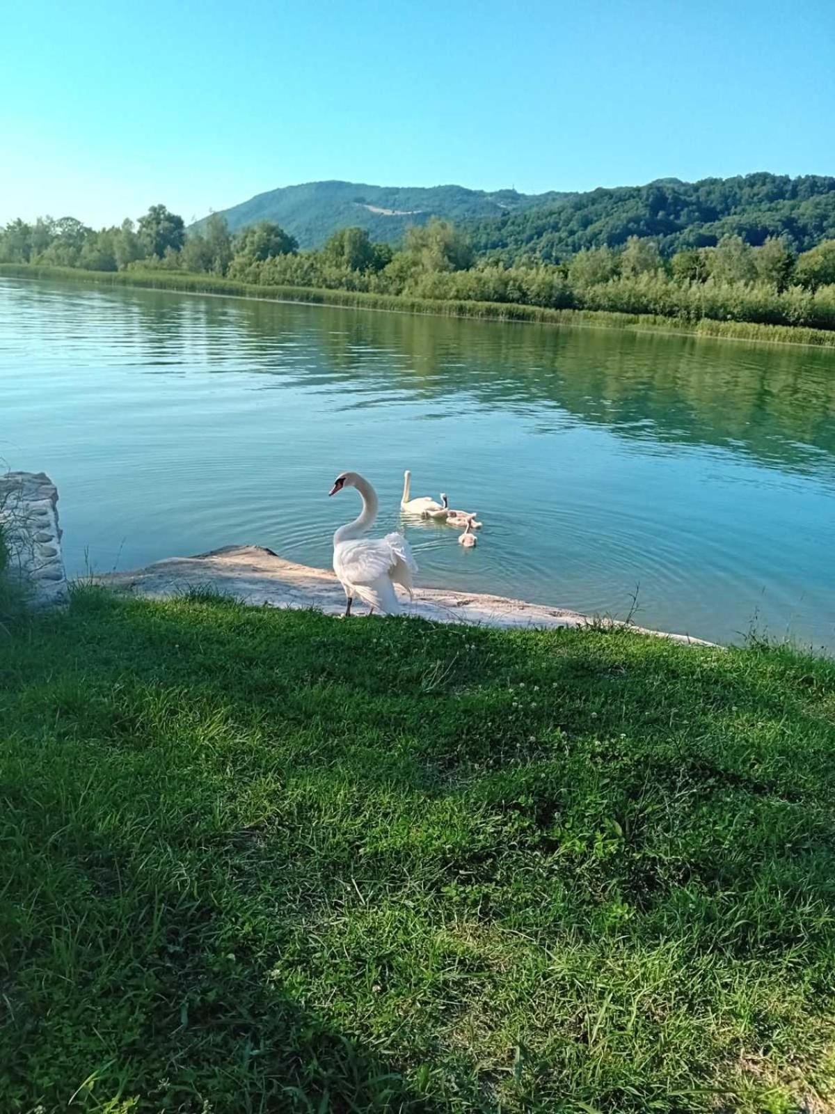 Vikendica Maksim, Zelinje - Zvornicko jezero