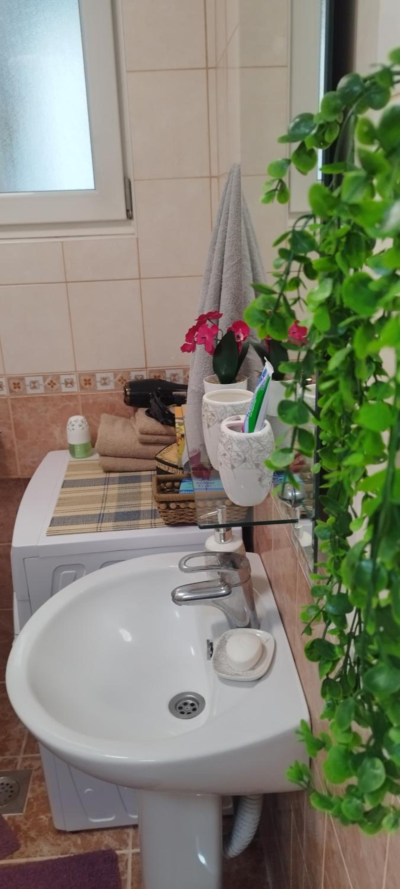 Stan na dan Bijeljina centar