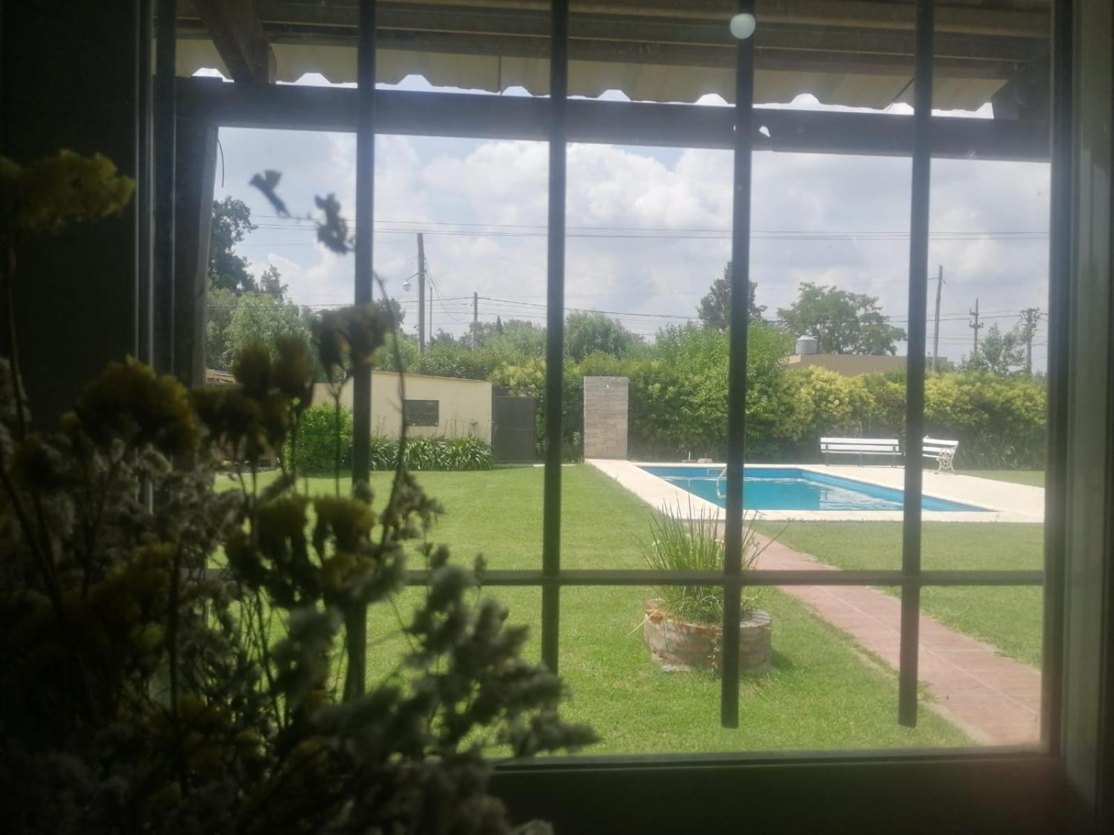 La Abelina