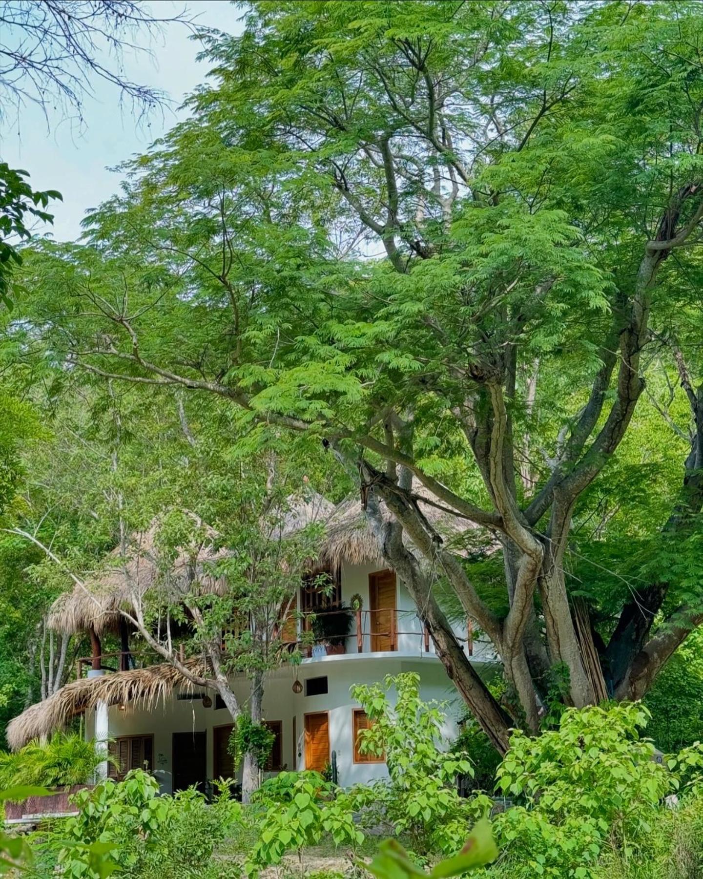Casa Lucy Oaxaca view 3