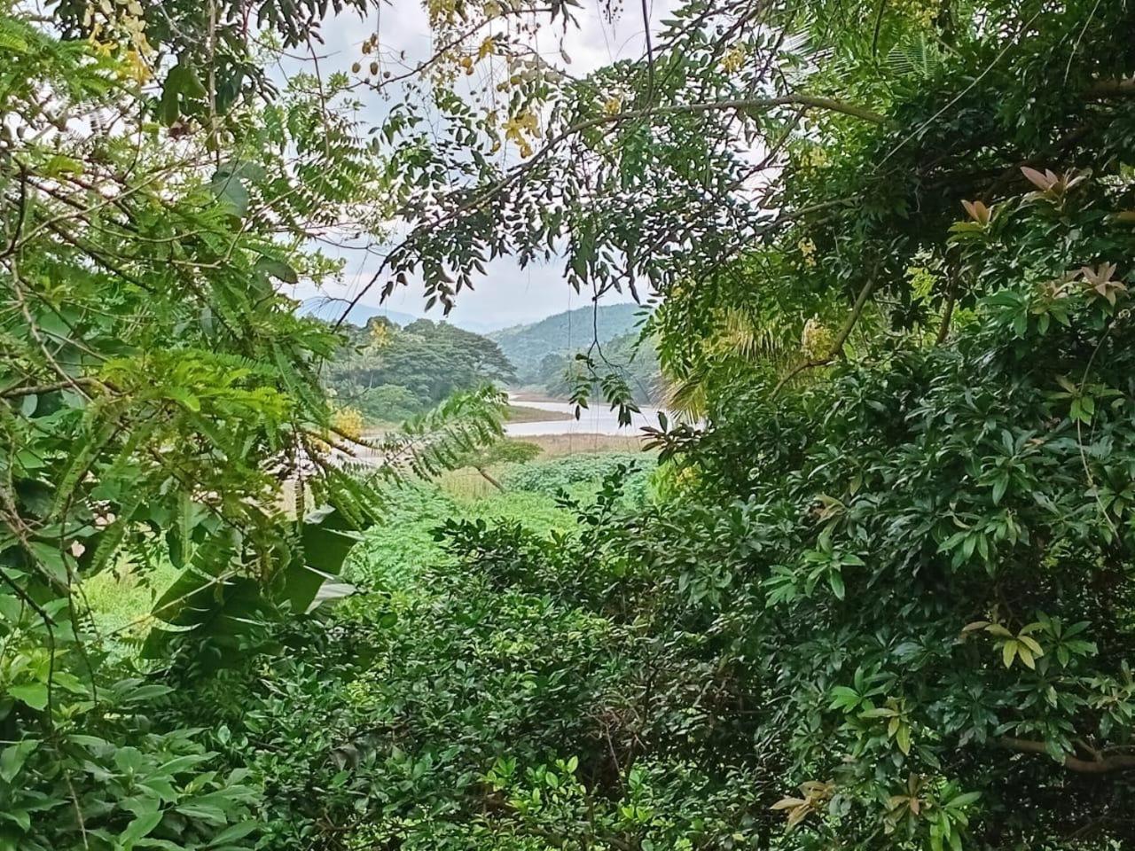 The River Lodge view 4