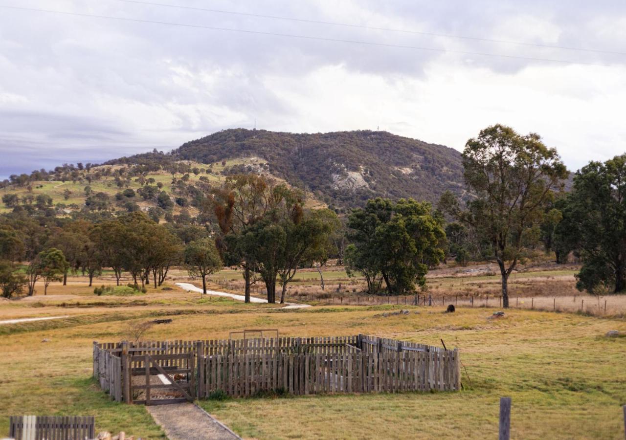 Pretty Pink Queenslander - Spectacular Views, Space and Serenity