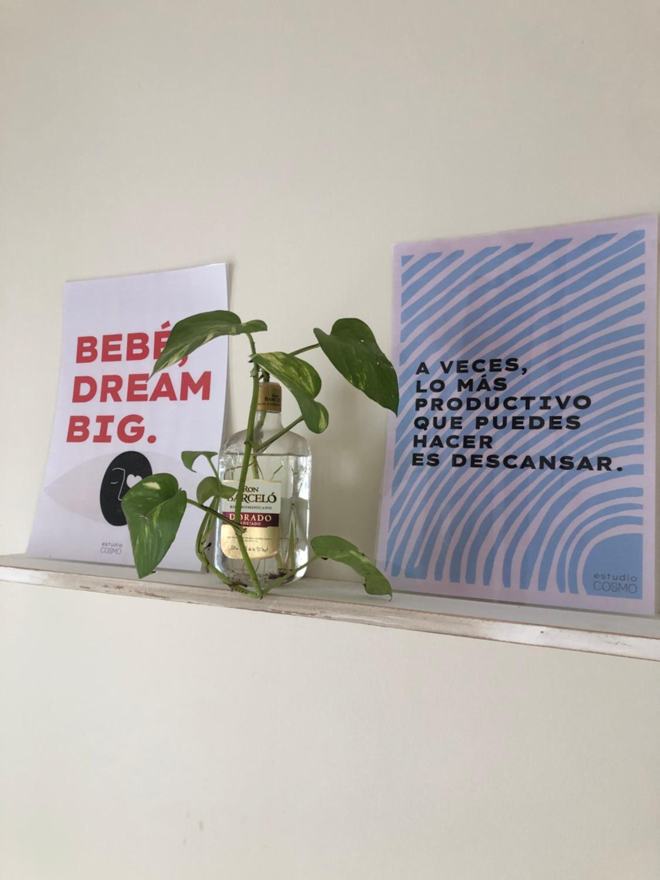Cosmo Apartamento