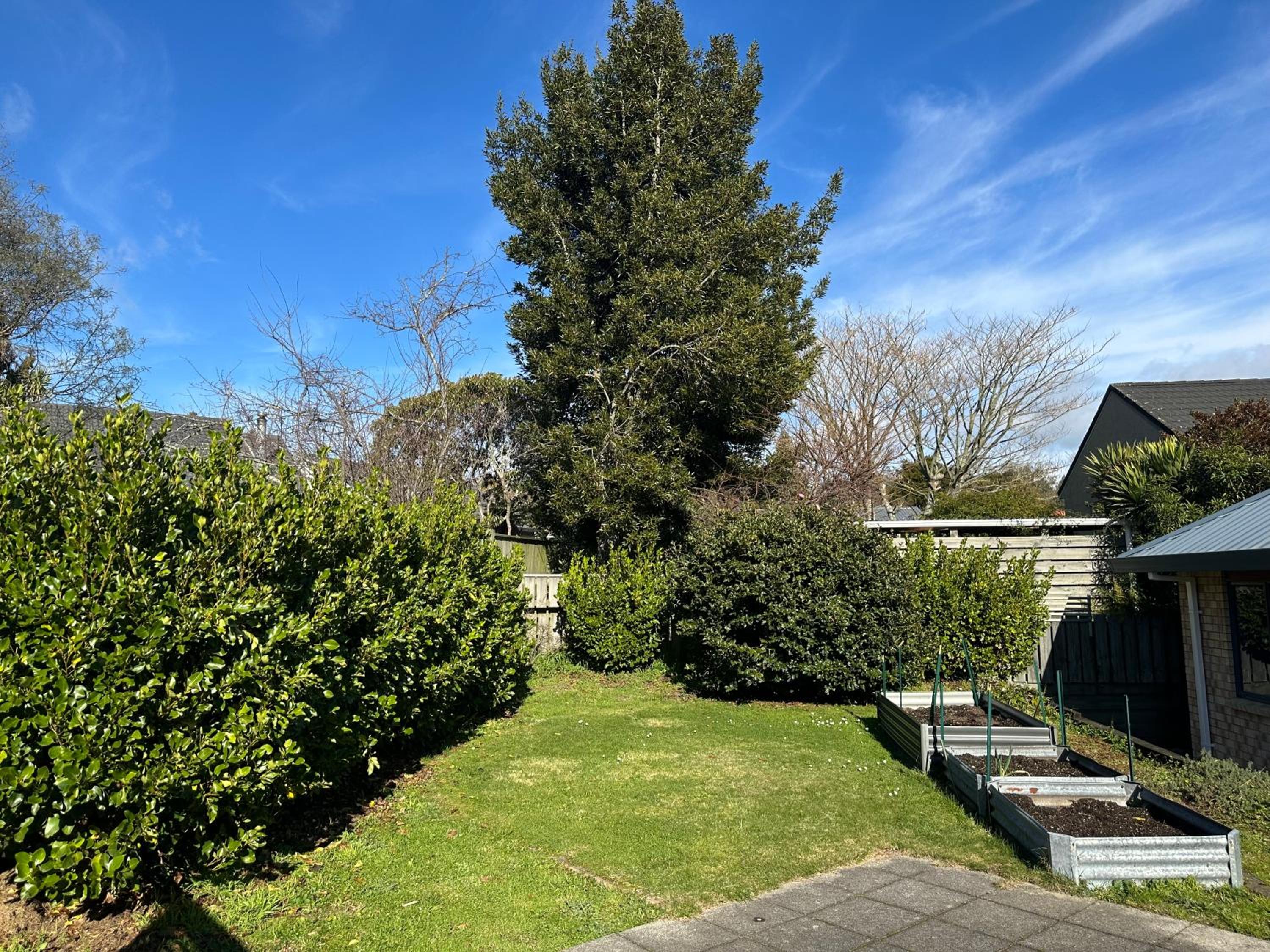 Comfort 3 bedrooms house near Redwood