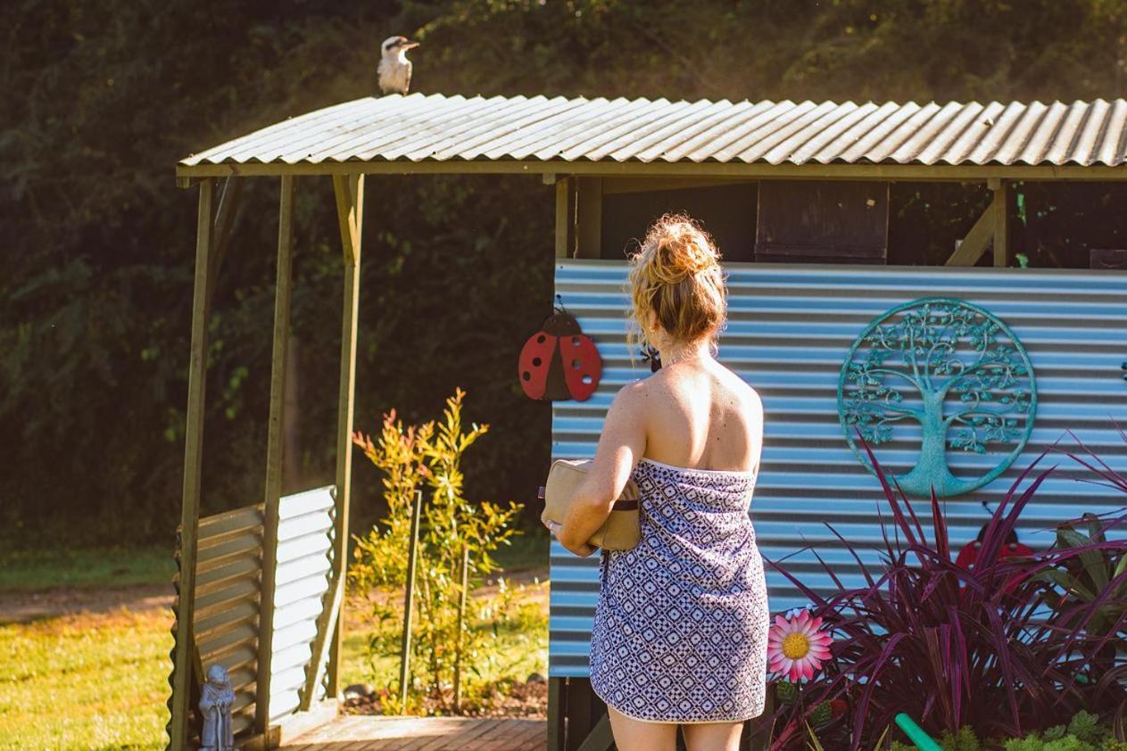 Off Grid Cob Home
