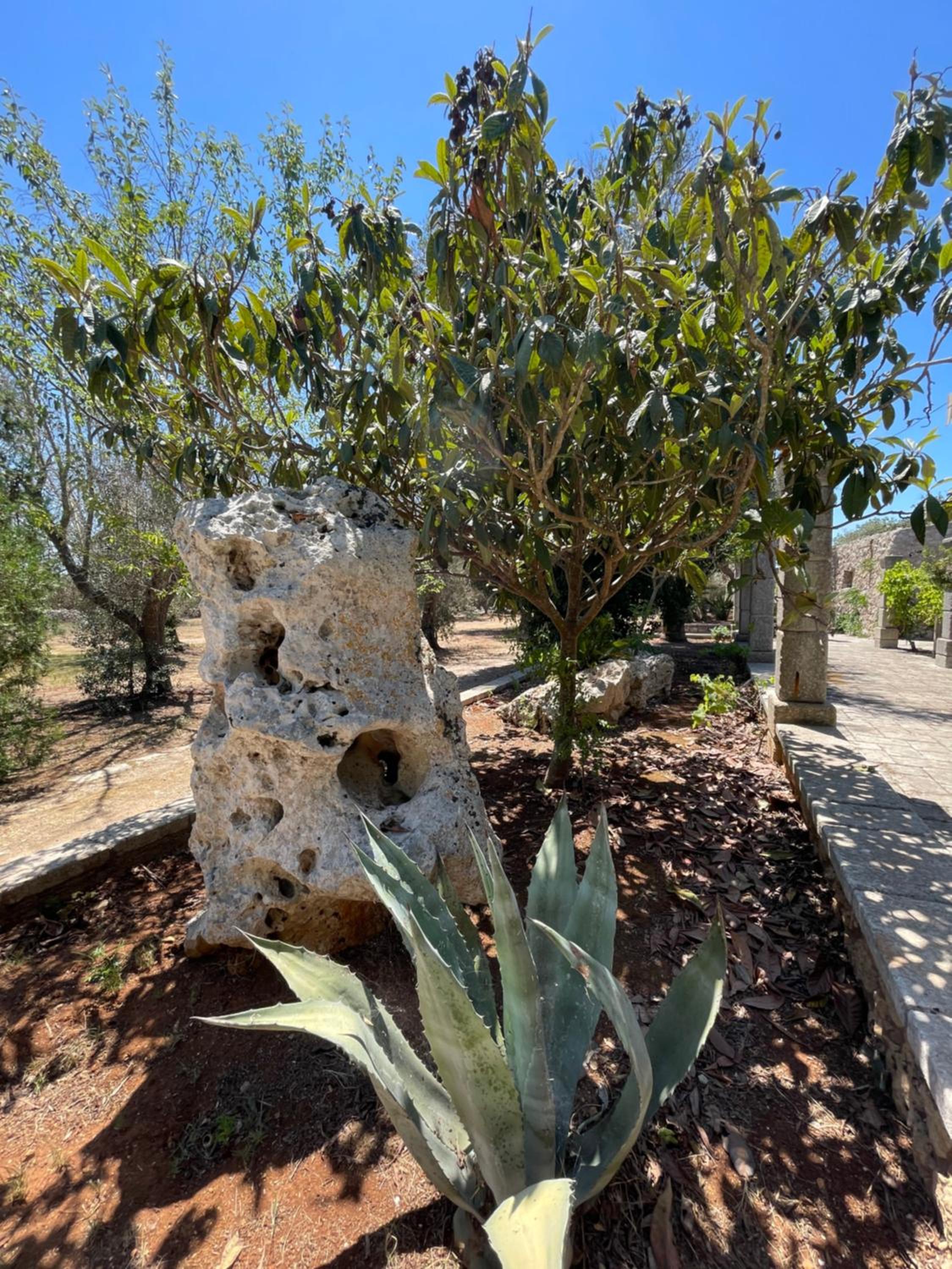 Agriturismo Salento Pietralata